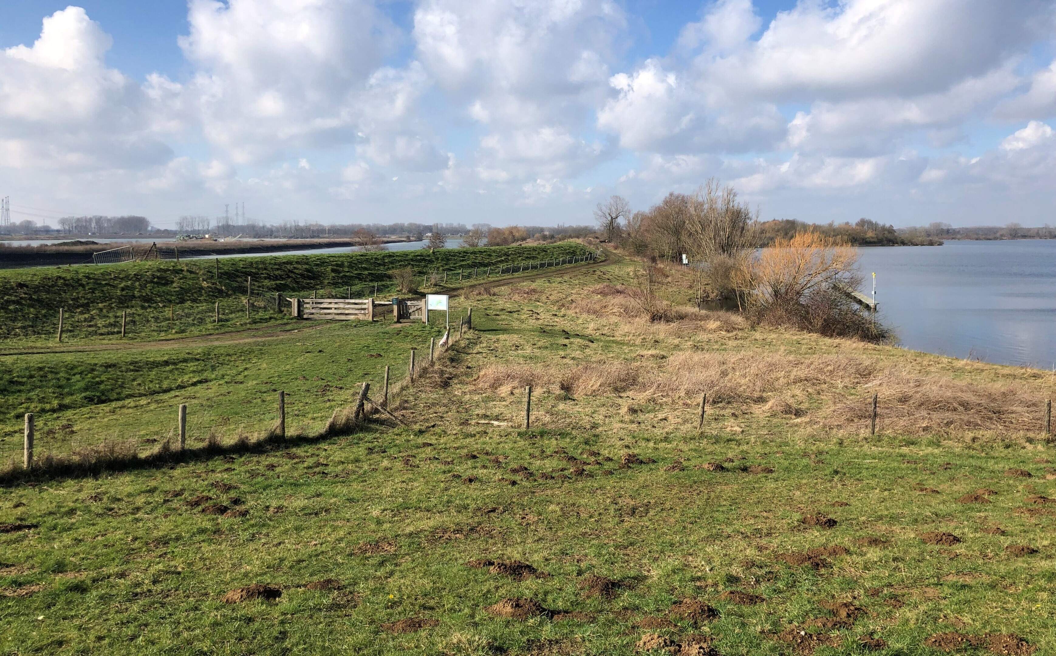 IVN Roermond e.o. houdt een excursie naar Isabellegreend: van natte winning naar natuurgebied