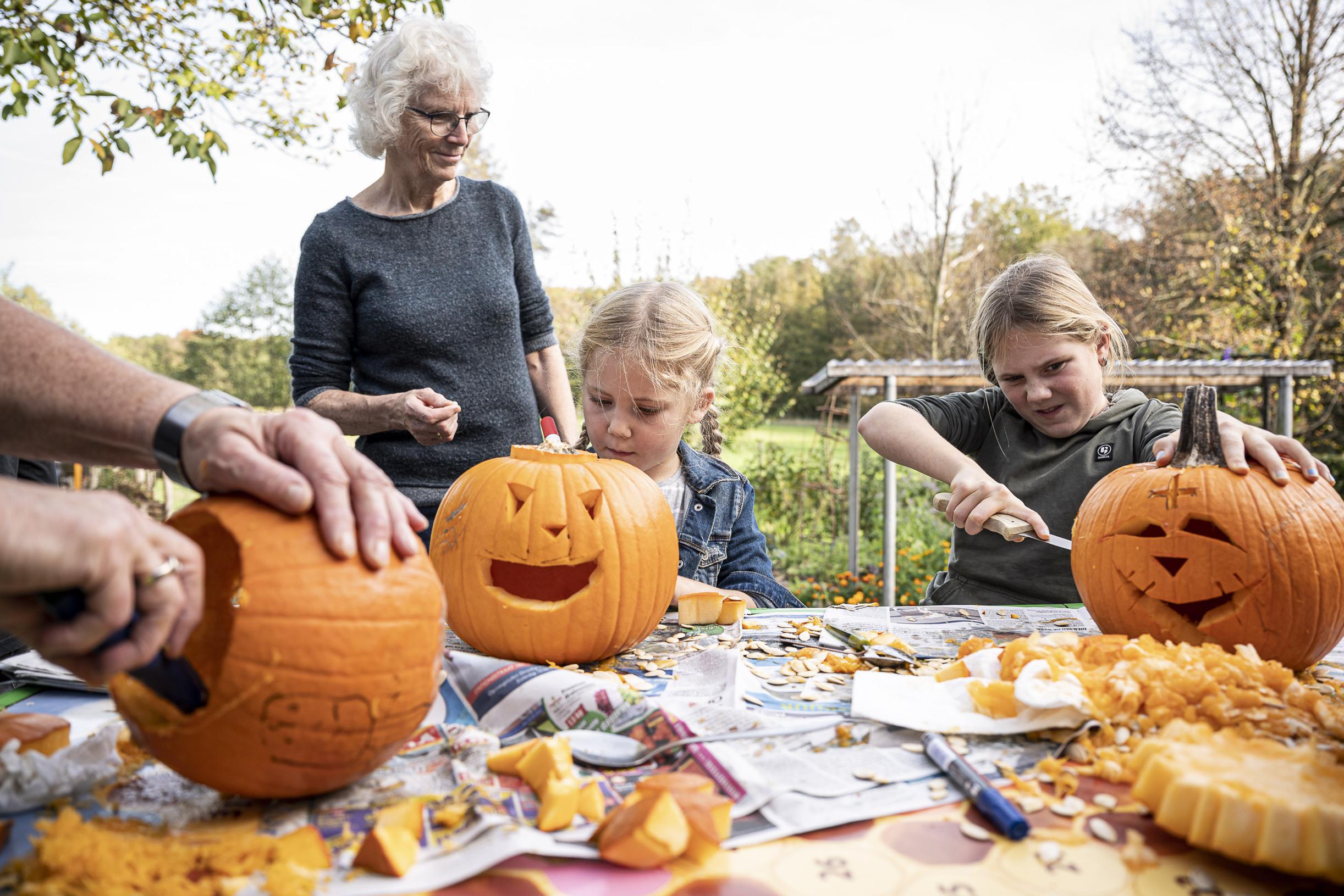 Halloween: pompoenen uithollen bij Bezoekerscentrum Leudal in Haelen