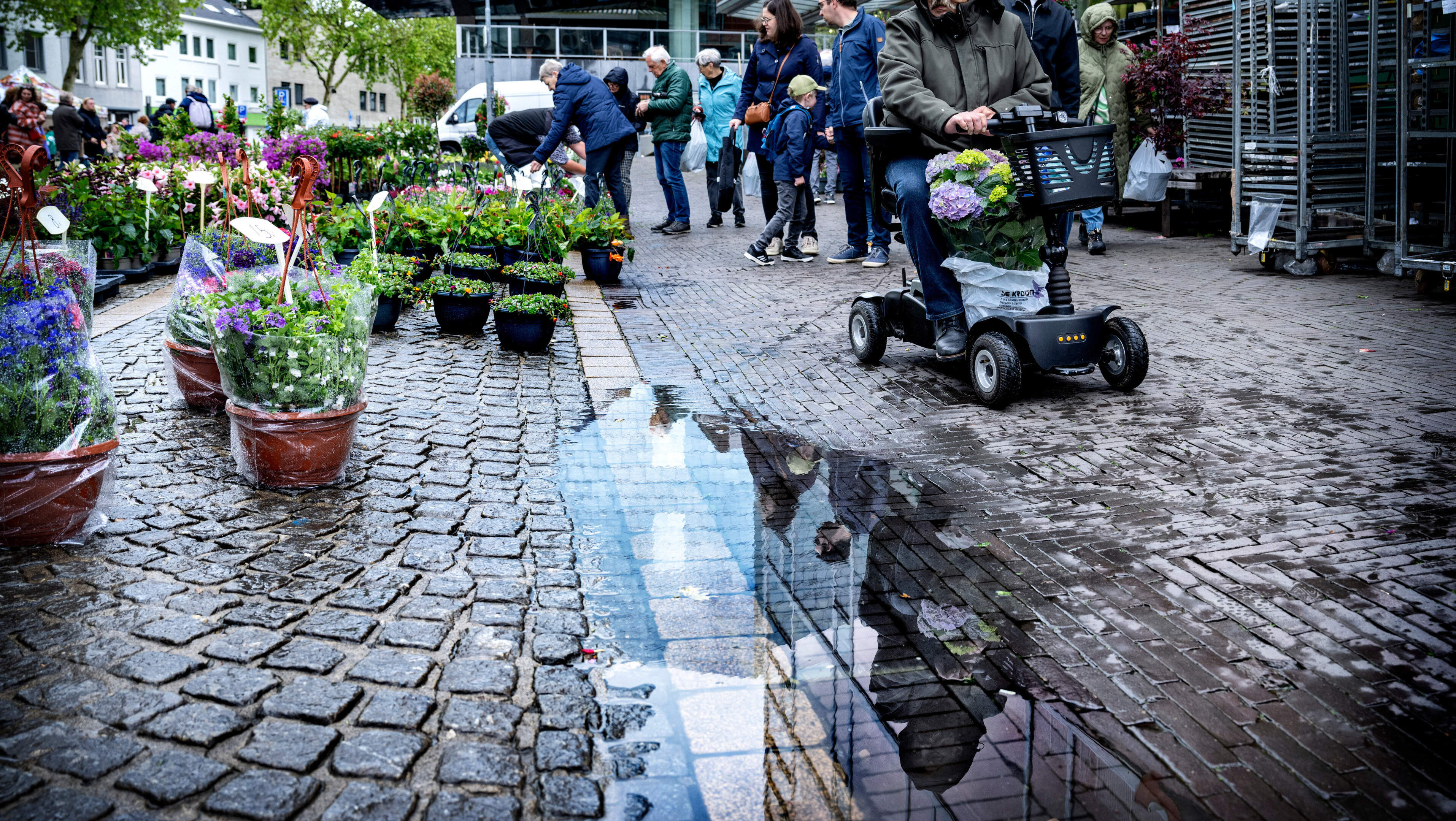 Regen en zon vechten om aandacht tijdens bloemenmarkt Telefleur in Heerlen