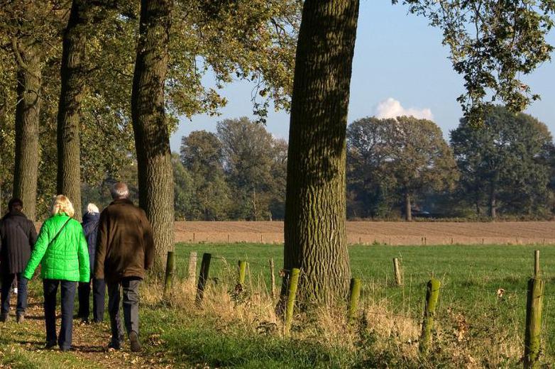 Stiltewandeling bij Natuurbegraafplaats Bergerbos in Sint Odiliënberg