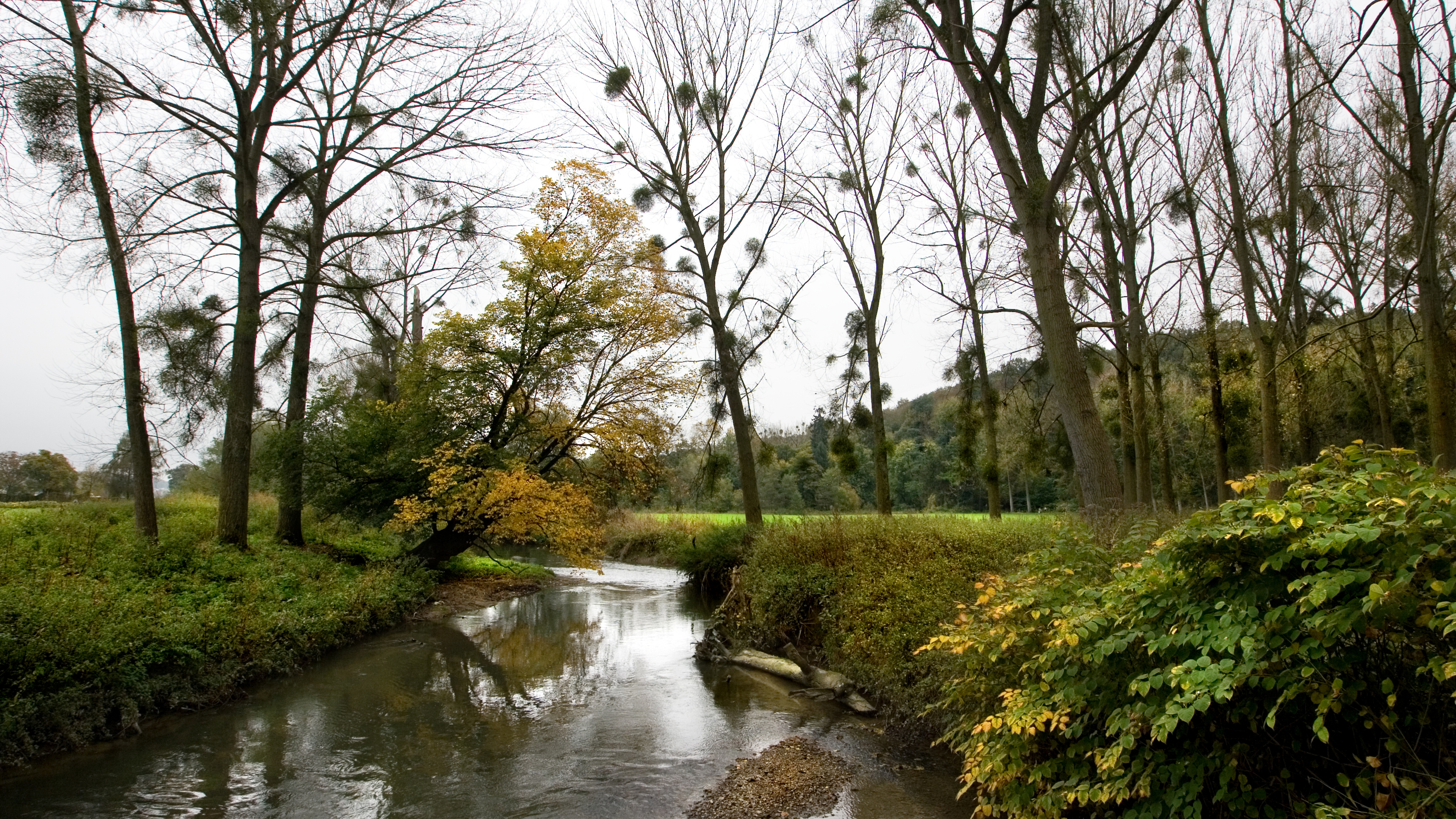 Beleefweek Limburg: wandelen langs de Geul