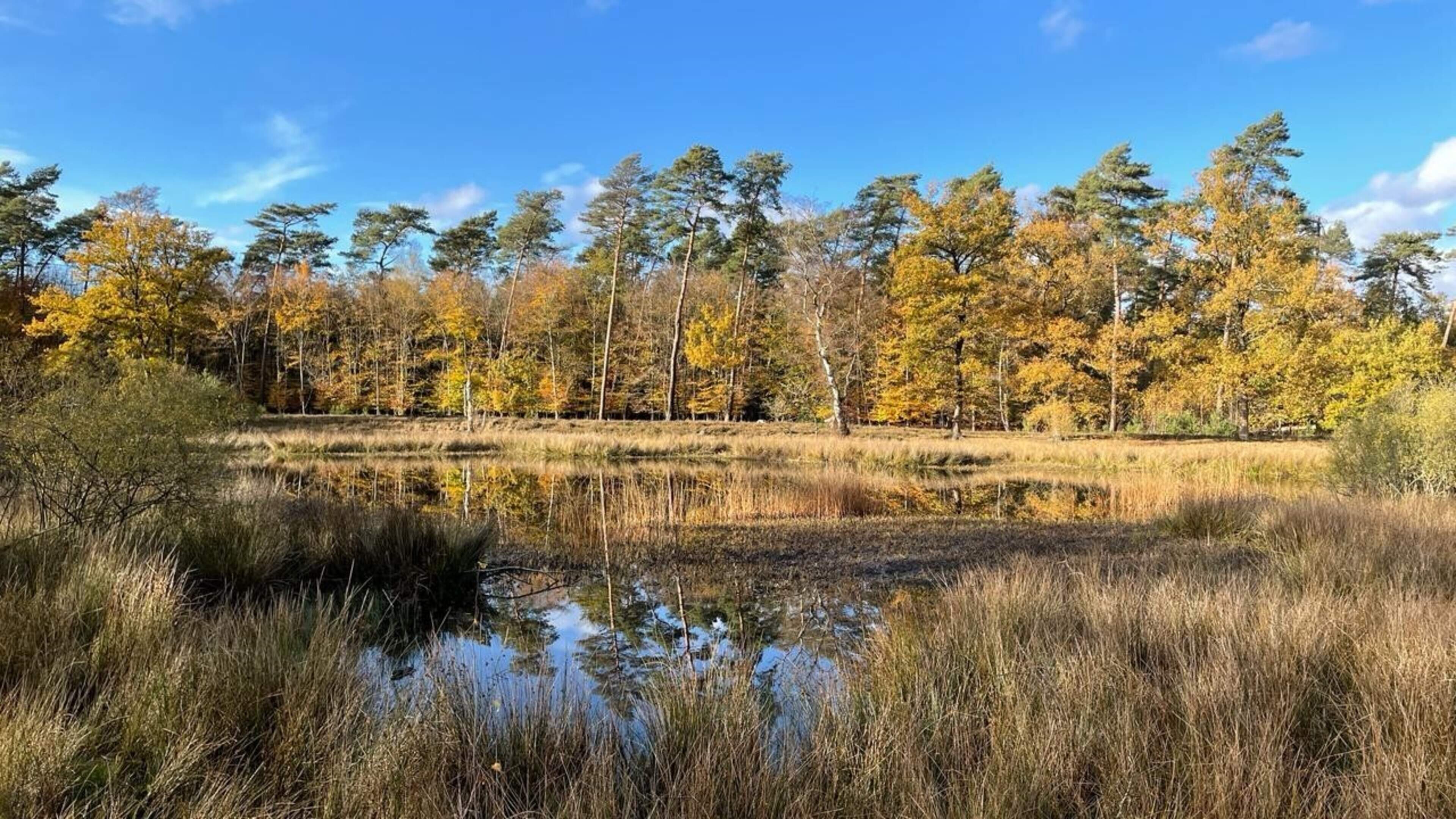 Limburg heeft ruim 27 miljoen te besteden voor verbetering van natuur