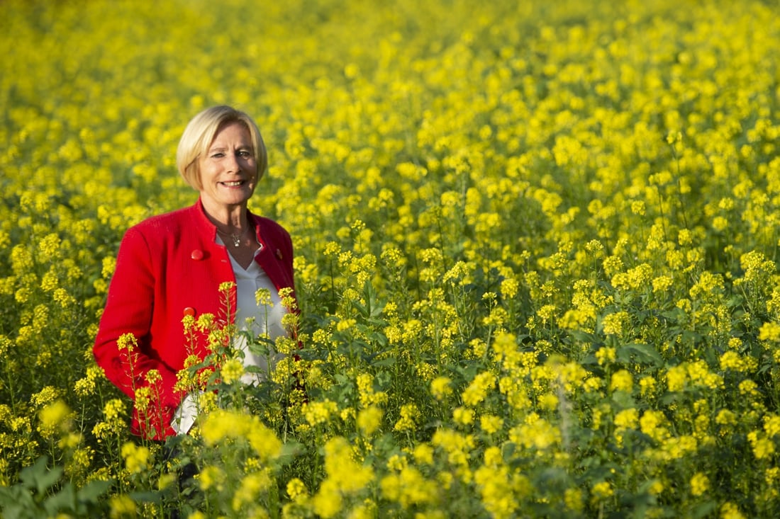 Constance de Vries uit Munstergeleen is geridderd voor baanbrekend werk rond euthanasie