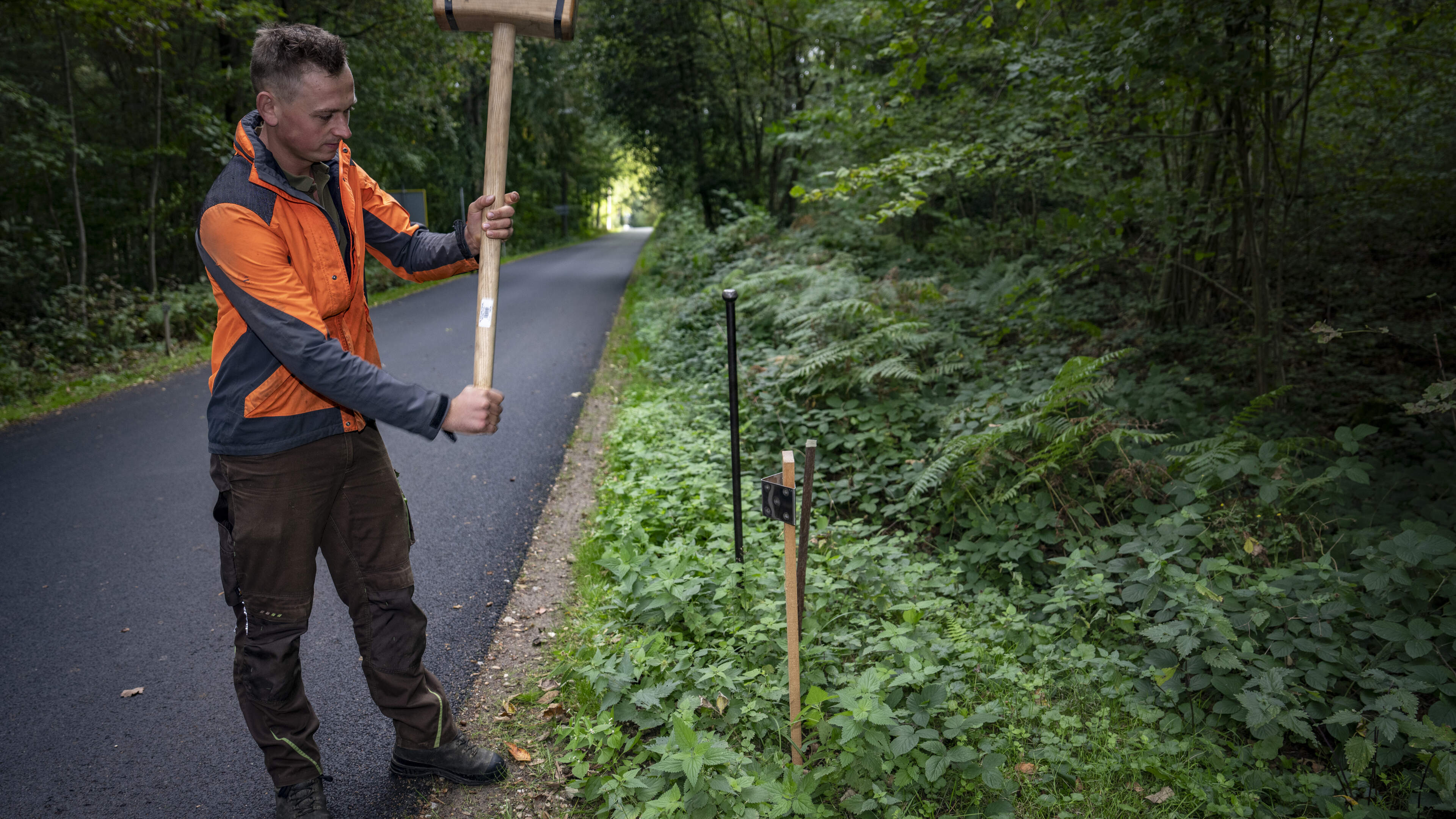 Wildspiegels in het Vijlenerbos moeten aanrijdingen met wilde dieren voorkomen, maar werken ze ook?