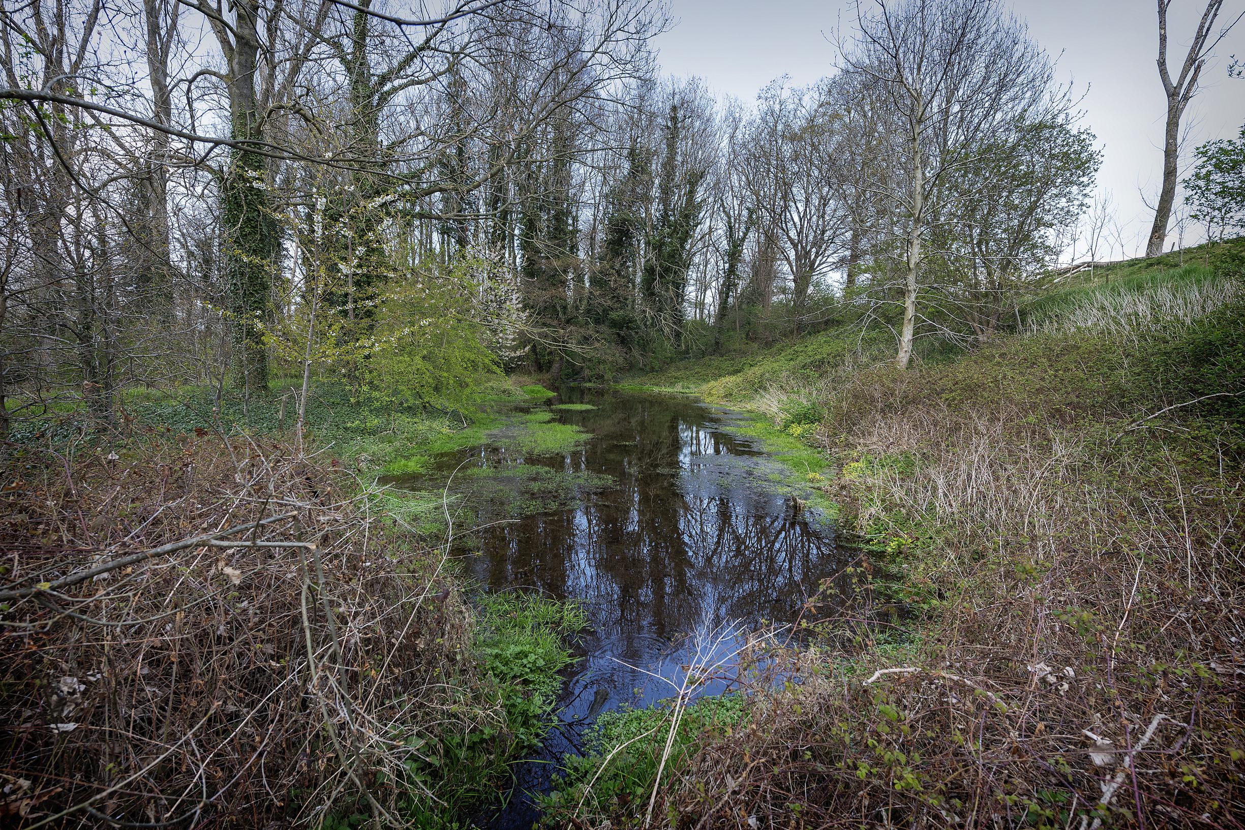 Vrouwenbos in Spaubeek wordt uitgebreid met nieuwe aanplant