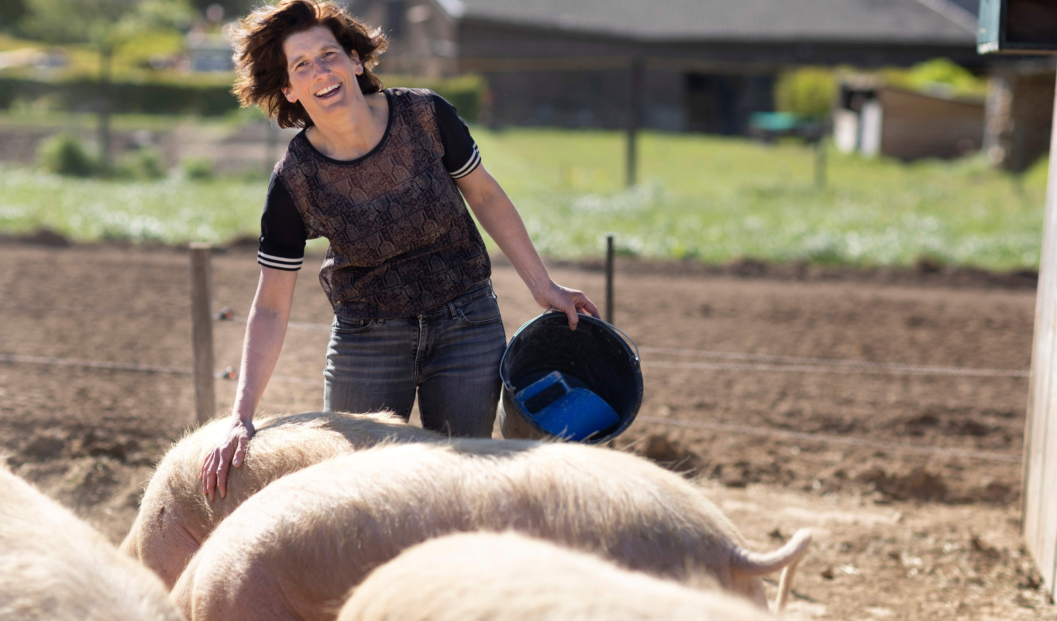 Biologische producten duurder: de varkens van Judith Deusings uit Schinnen scharrelen op meer ruimte