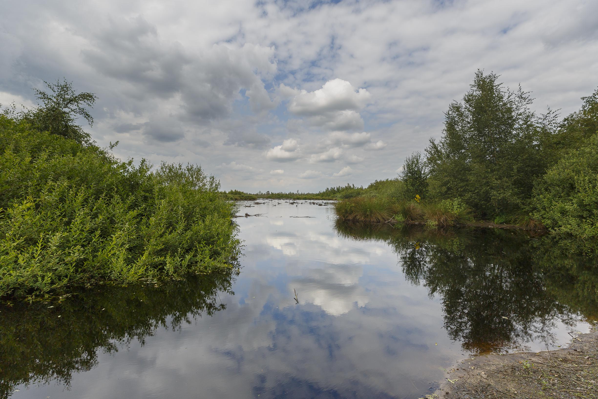Kritiek Limburgs Landschap op pompen van water uit kanaal Wessem-Nederweert naar De Peel