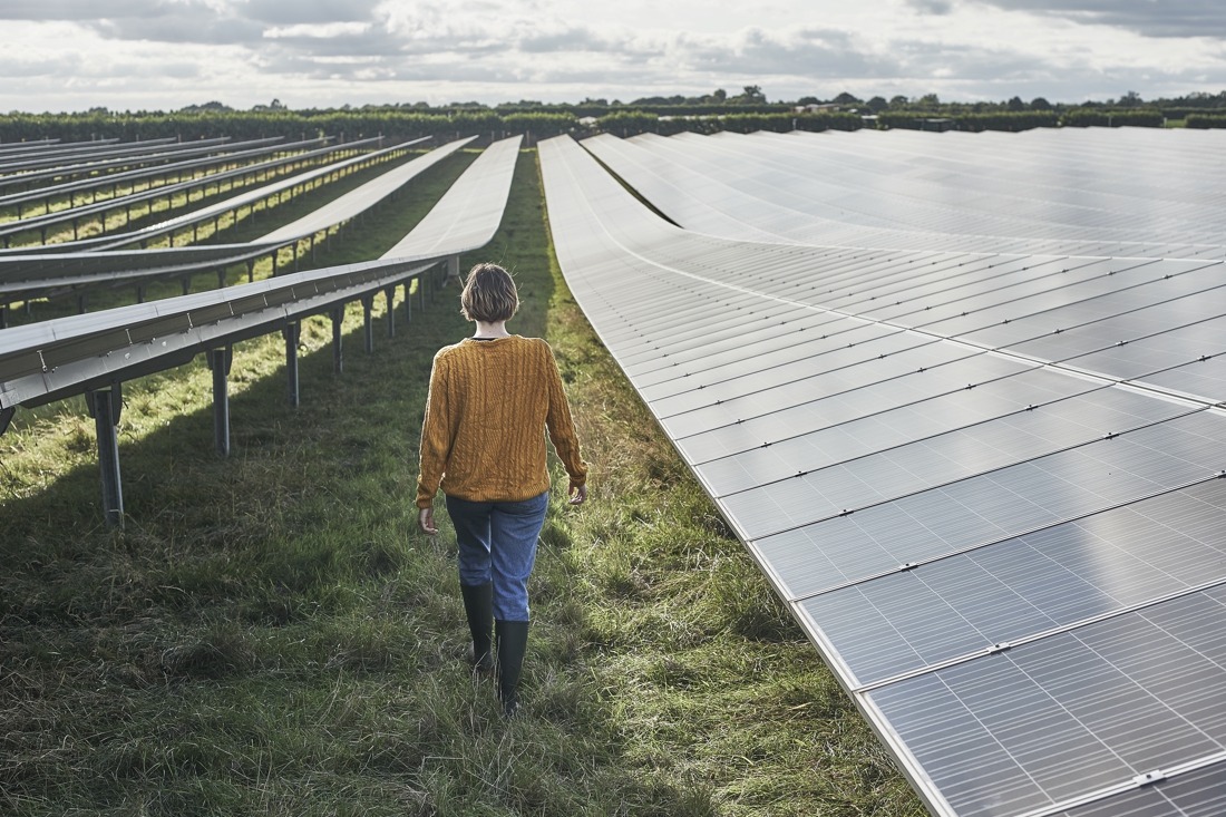 Beringe wordt voor de helft eigenaar van zonnepark De Schorf