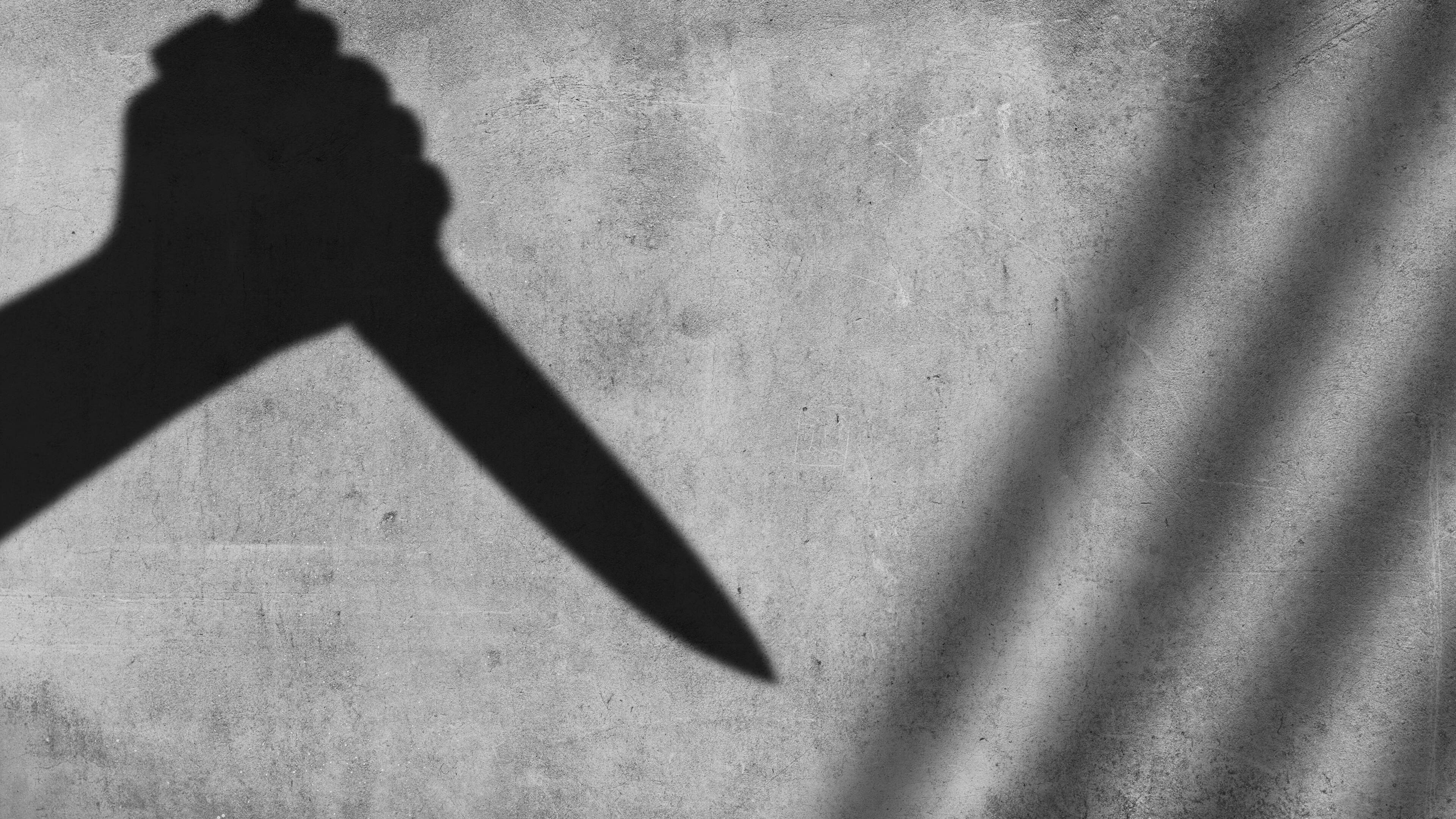 Twee Poolse broers raakten zwaargewond bij steekpartij in Heerlen, justitie eist acht jaar cel tegen