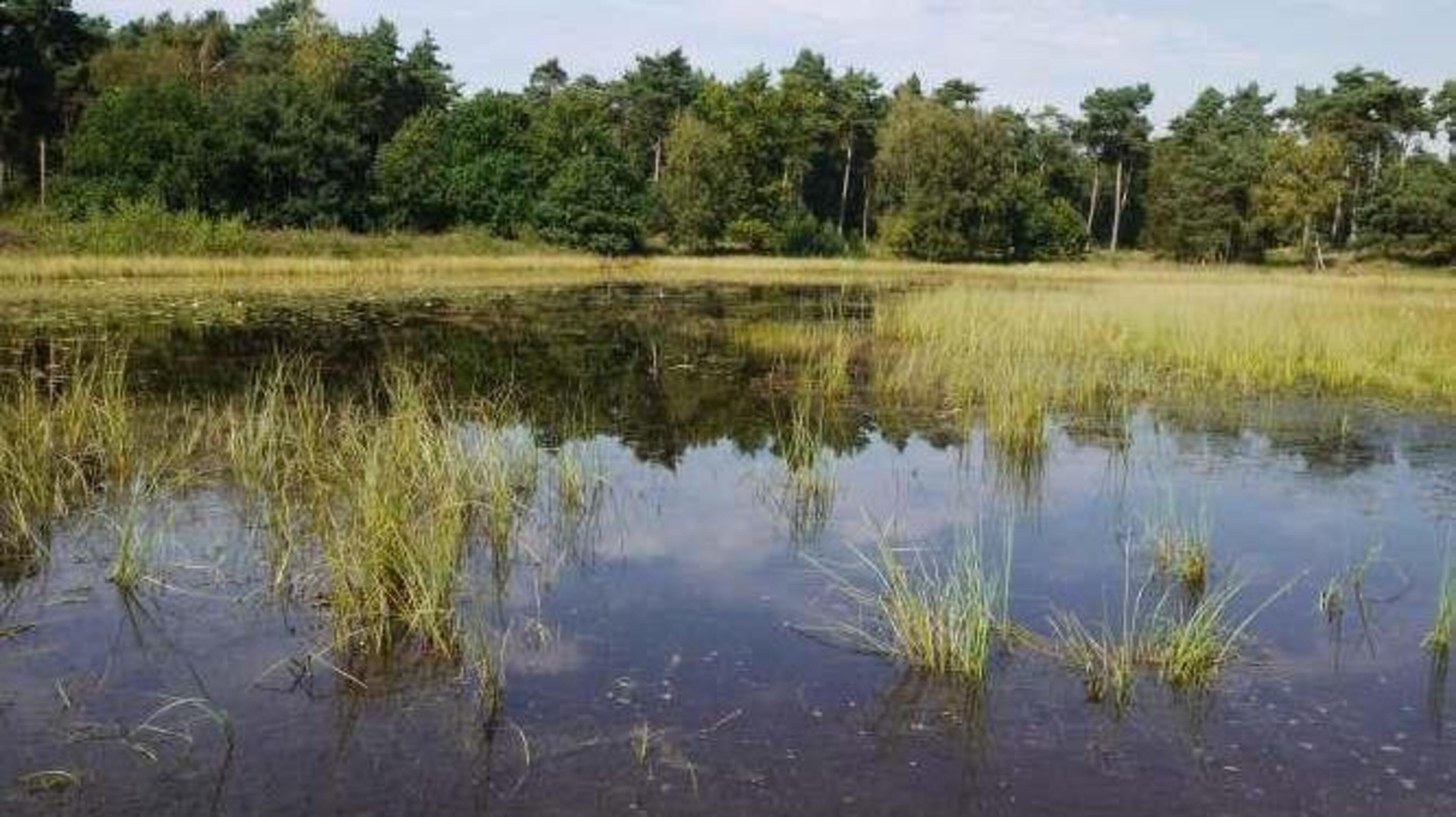 Excursie naar de Beegderhei