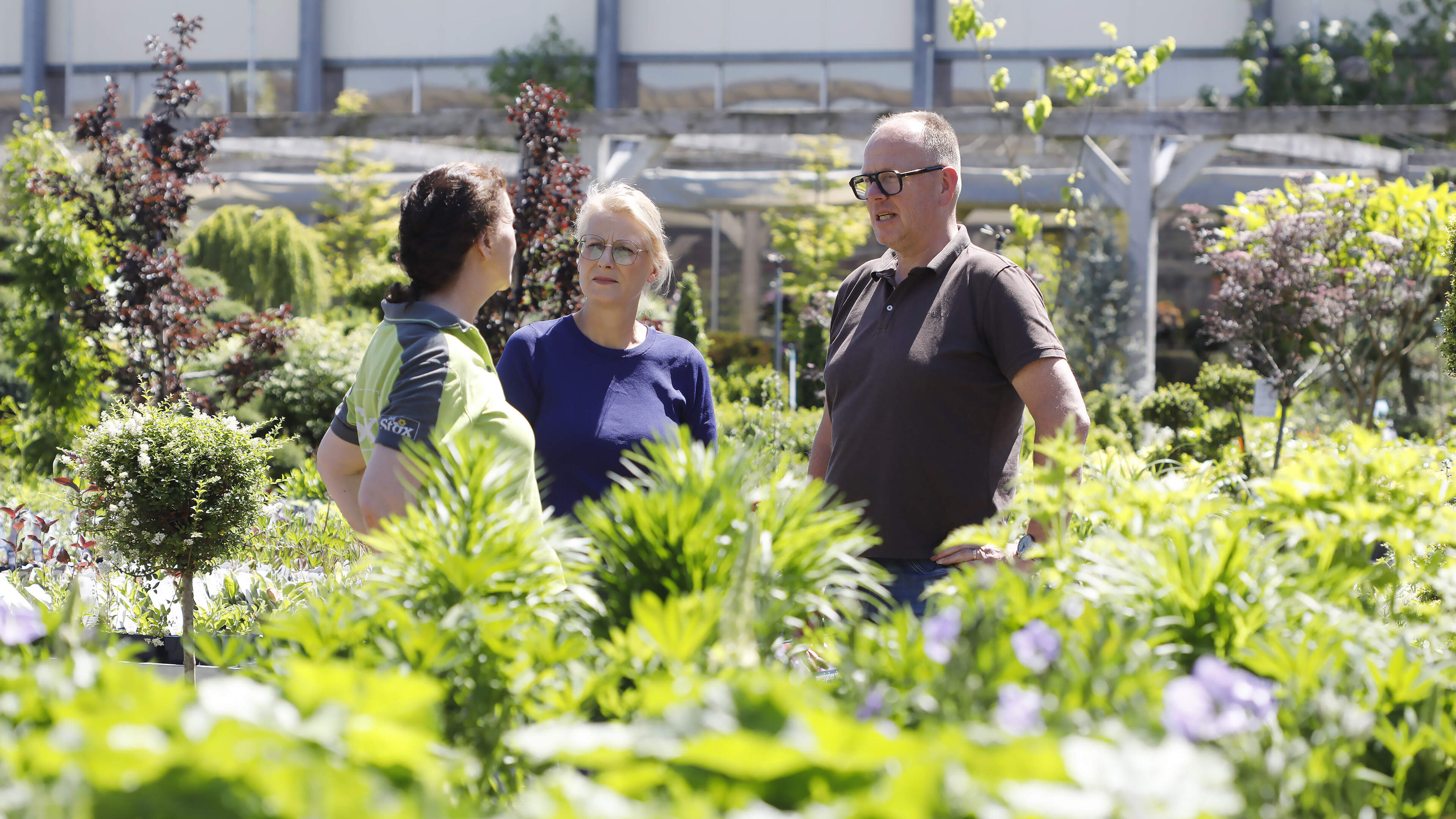 Van klein aardbeienveldje aan huis naar vier tuincentra in Limburg, familiebedrijf BijSTOX bloeit al
