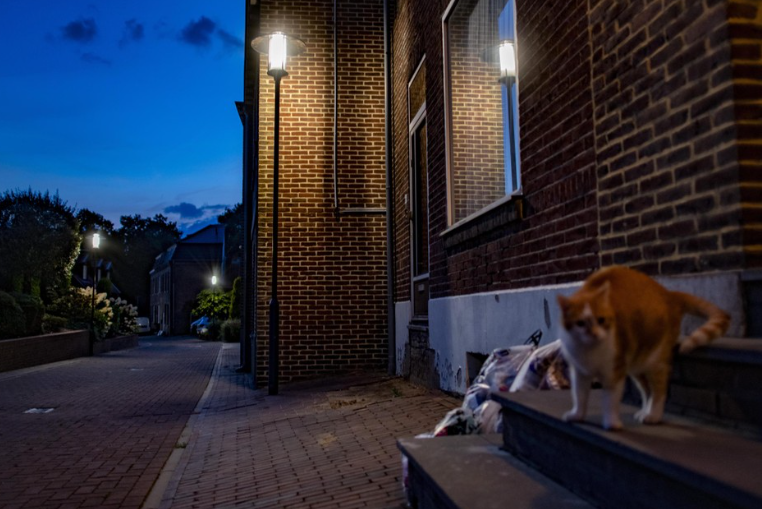 Nieuwe straatverlichting Broeksittard en Munstergeleen na ingreep minder fel: ‘Maar nog steeds niet 