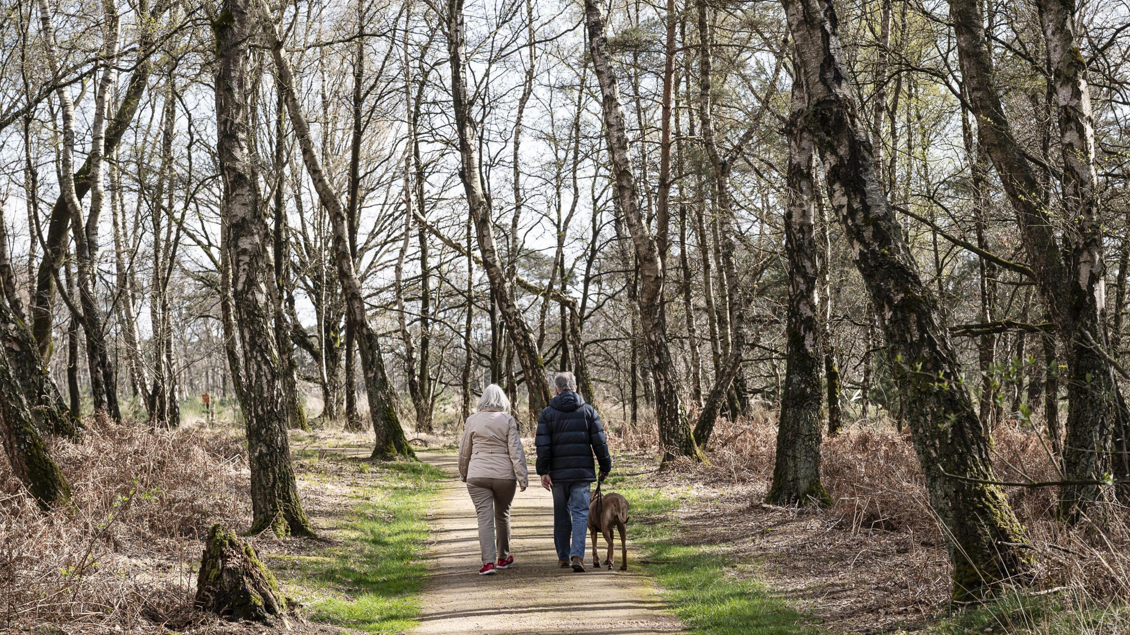 Meinweg XL wordt één groot natuurgebied tussen Beesel en Echt: nu nog een nieuwe naam die de lading 