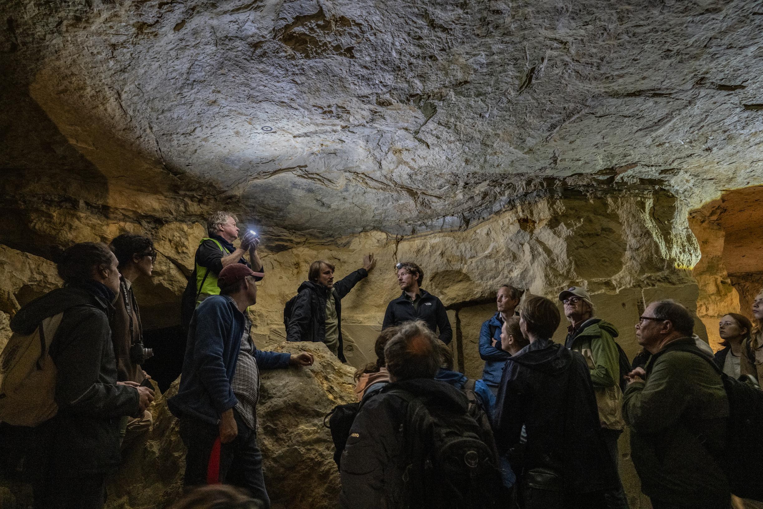 De Geulhemmergroeve voelt bijna heilig voor geologen en paleontologen: ‘Dit is de enige plek waar je
