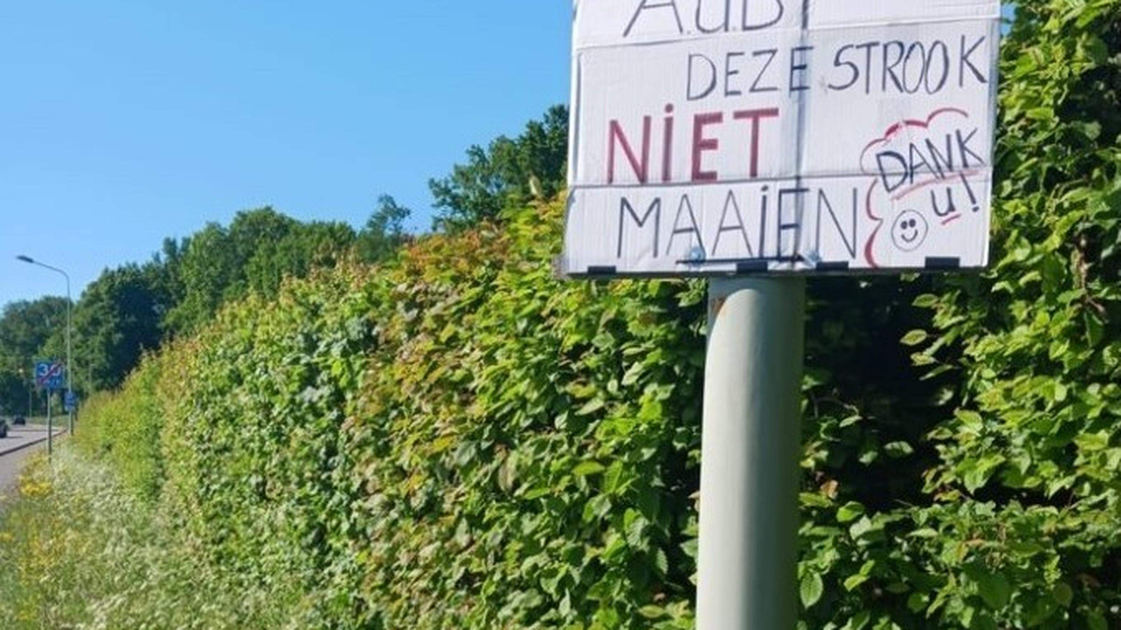 Blokkendozen in het Heuvelland, politiek circus Maastricht nu eens niet aan de bar en ‘Limbulgse’ vl
