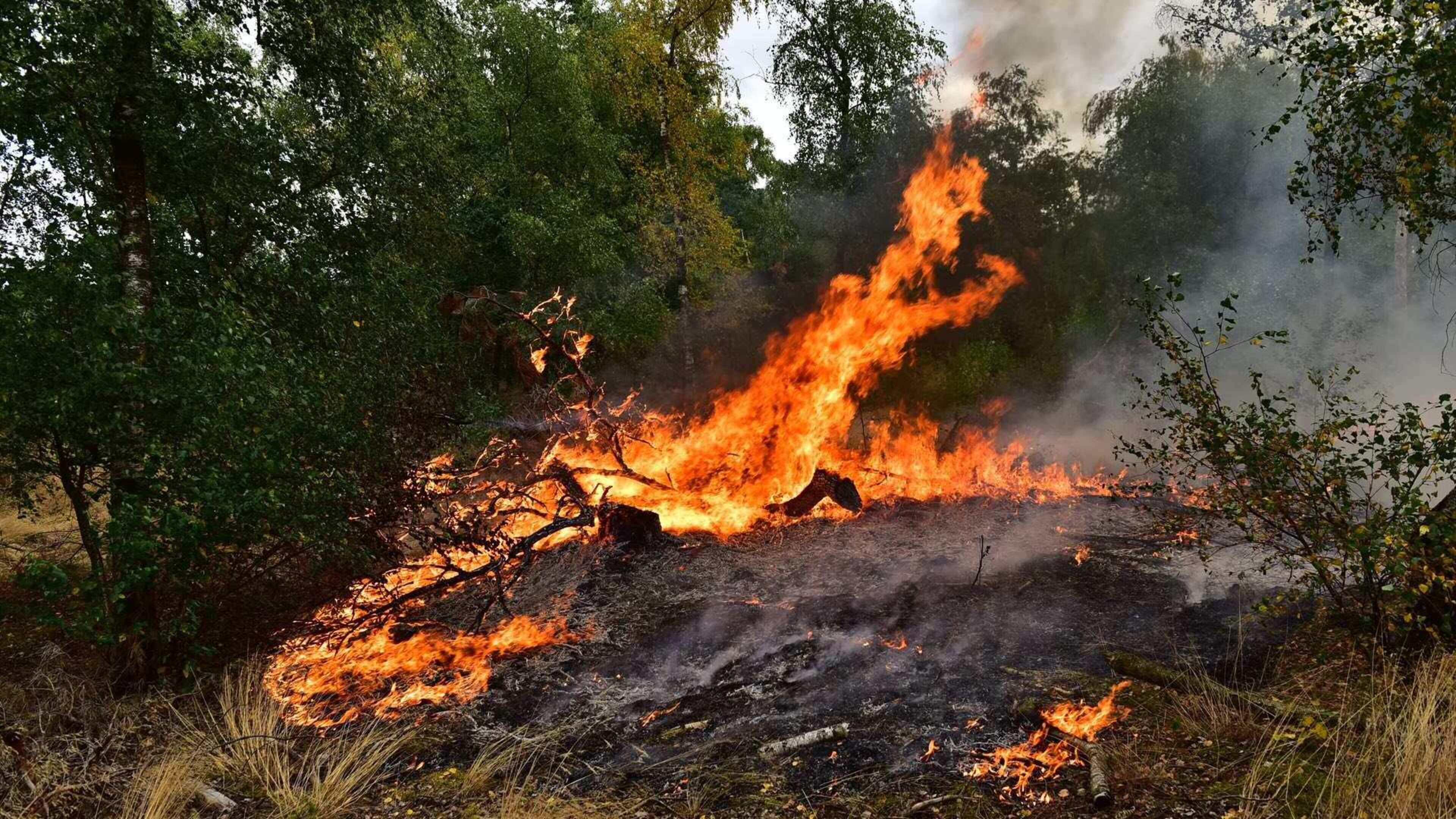 Natuurbrand bij A2 in Weert: vuurwerkresten aangetroffen bij brandhaard