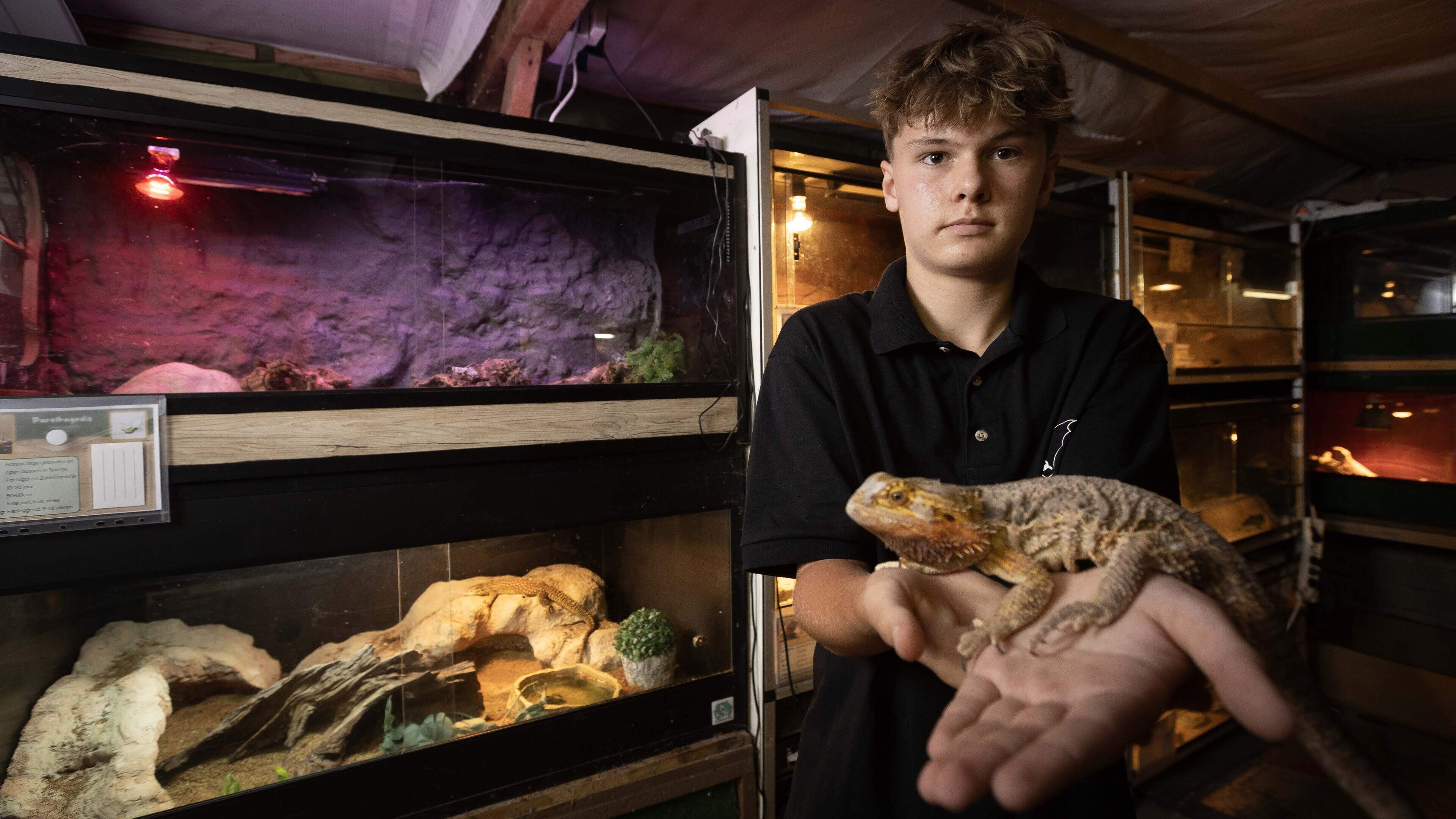 Tim (15) uit Sevenum loopt op verjaarspartijtjes met een wurgslang om zijn nek: ‘Het zijn geen huisd