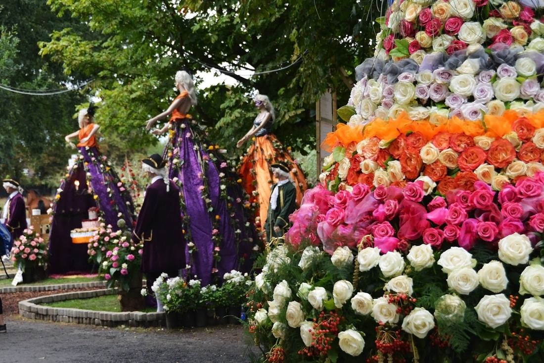Geen Rozenfestival in Lottum: organisatie stopt ermee