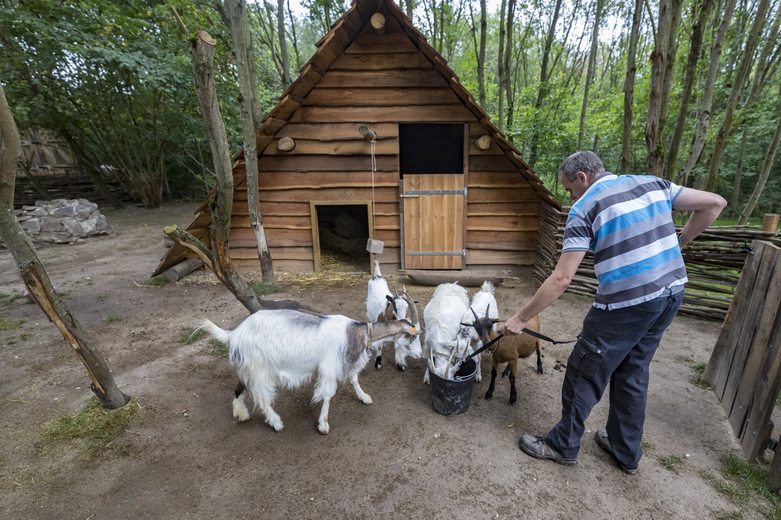Park, kasteeltuin en kinderboerderij Slot Schaesberg komen weer tot leven