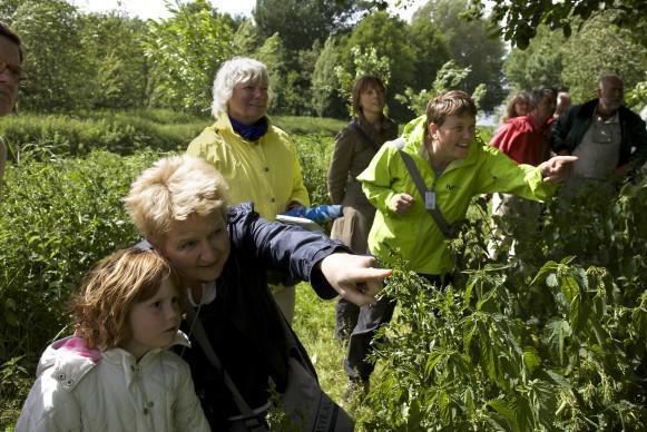 IVN Westelijke Mijnstreek geeft op informatieavond uitleg over opleiding tot natuurgids
