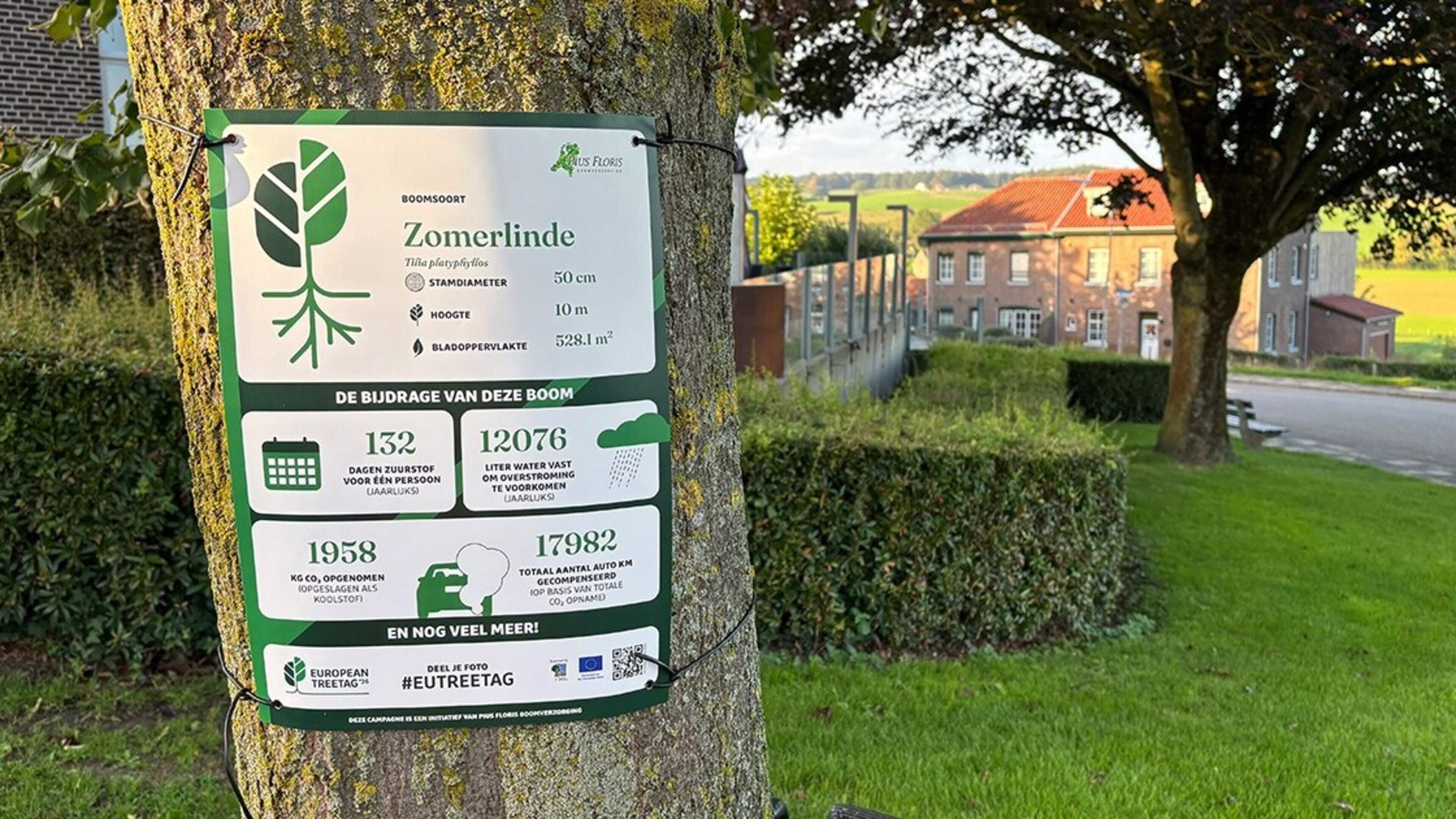 Posters tonen wat bomen in Vaals betekenen voor hun omgeving