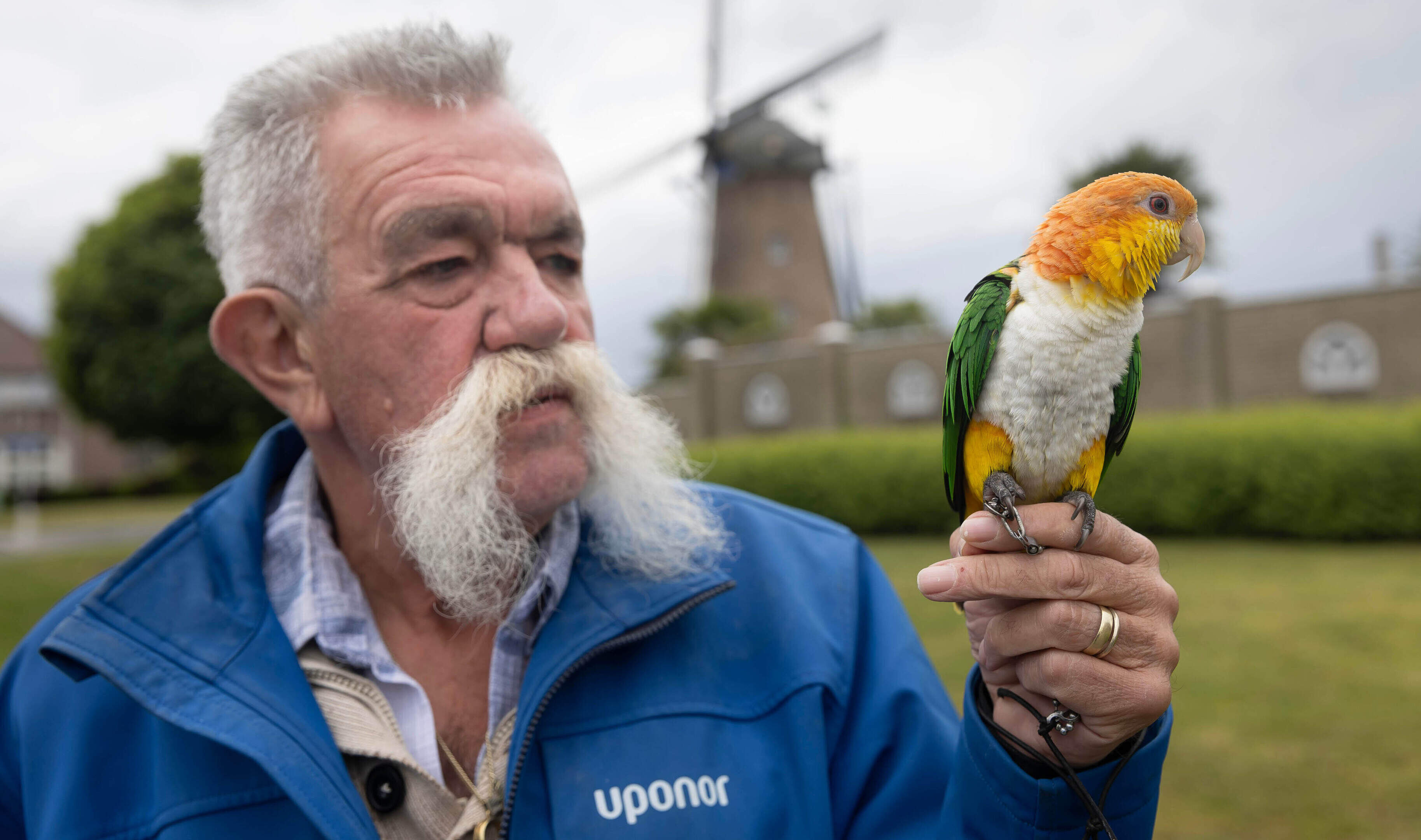 ‘Onvoorwaardelijke vriendschap’ van papegaai Basje houdt Ospelse paradijsvogel Jos (70) op de been: 