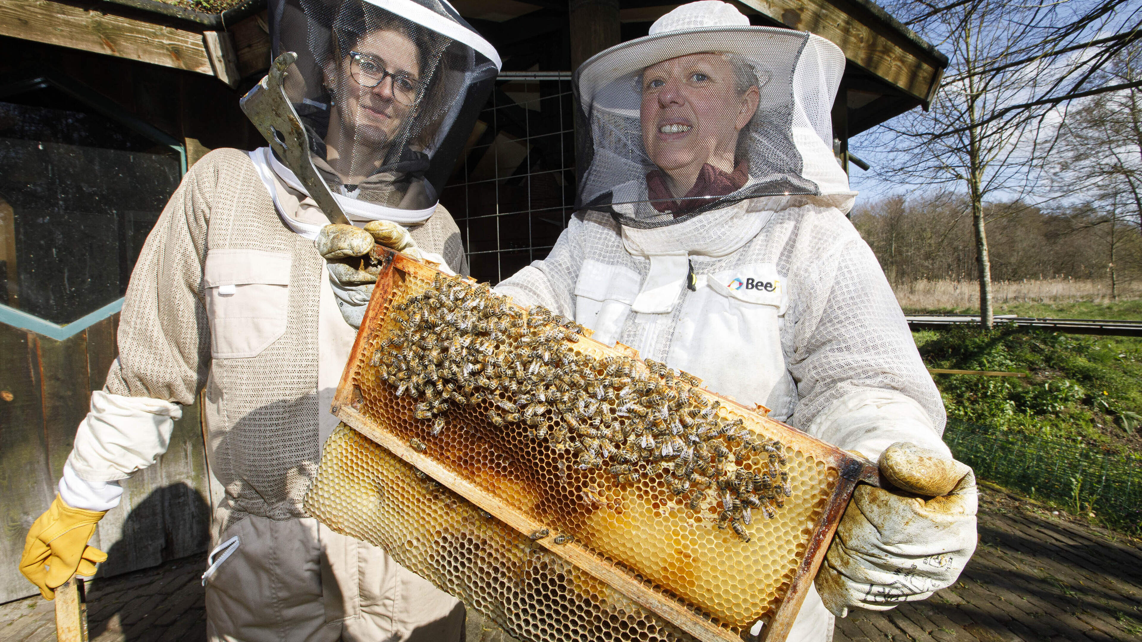 Michelle en Willemien willen met jeugdcursus imkeren bij kinderen vooral ‘een zaadje planten’: ‘In l