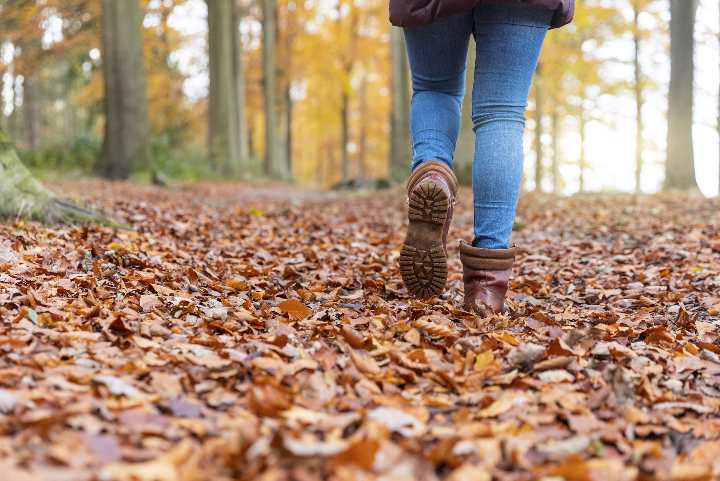 Wandeling langs de Uffelsbeek in Grathem