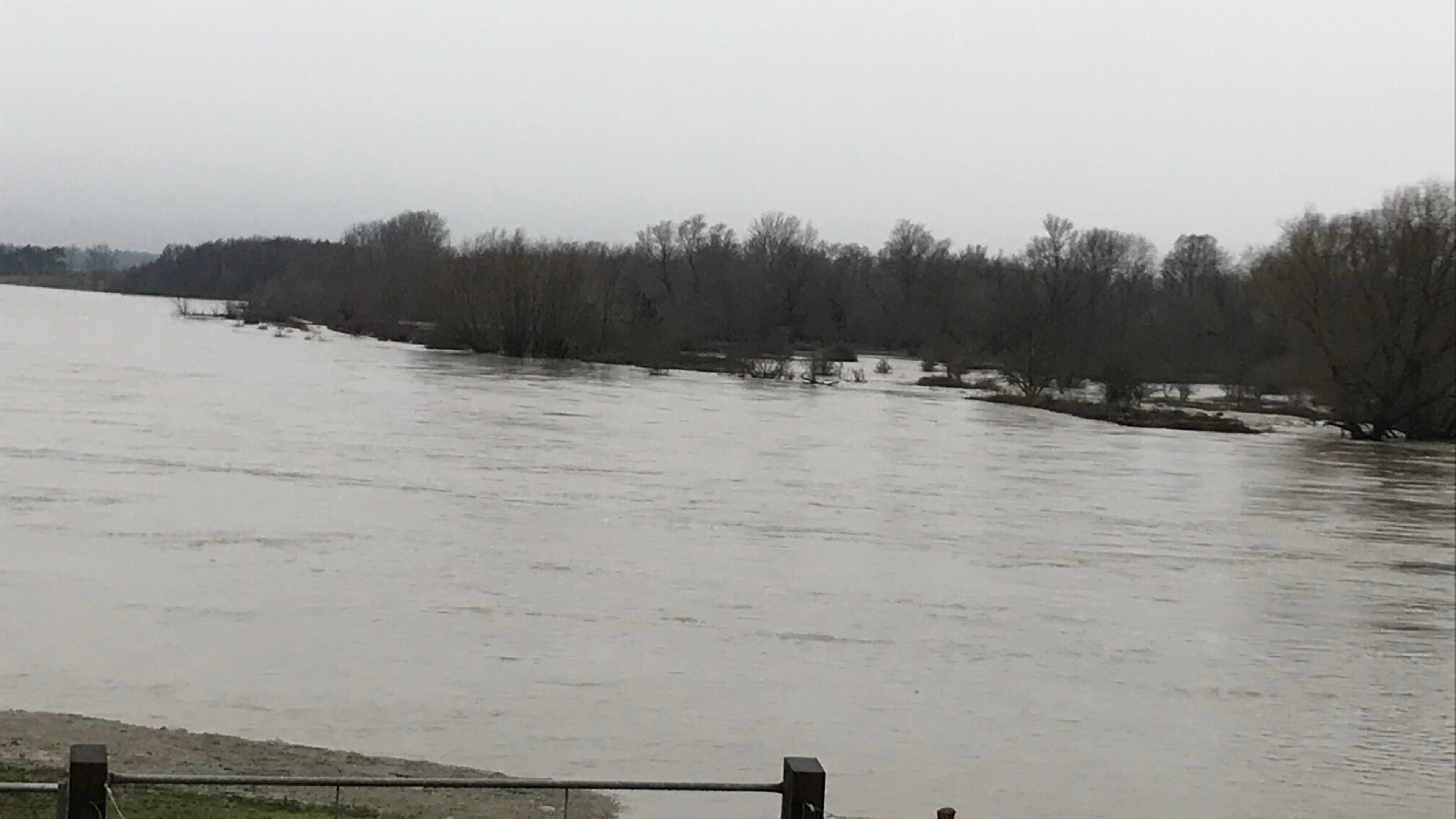 Natuurgebieden afgesloten vanwege hoog water en stressvolle situaties dieren