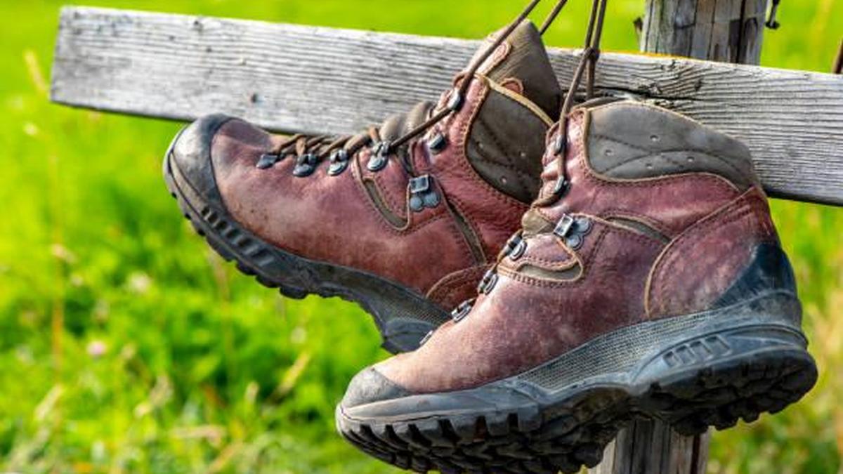 Schinveld zet in op beweging: Nieuwe wandelvierdaagse stimuleert gezonde levensstijl!