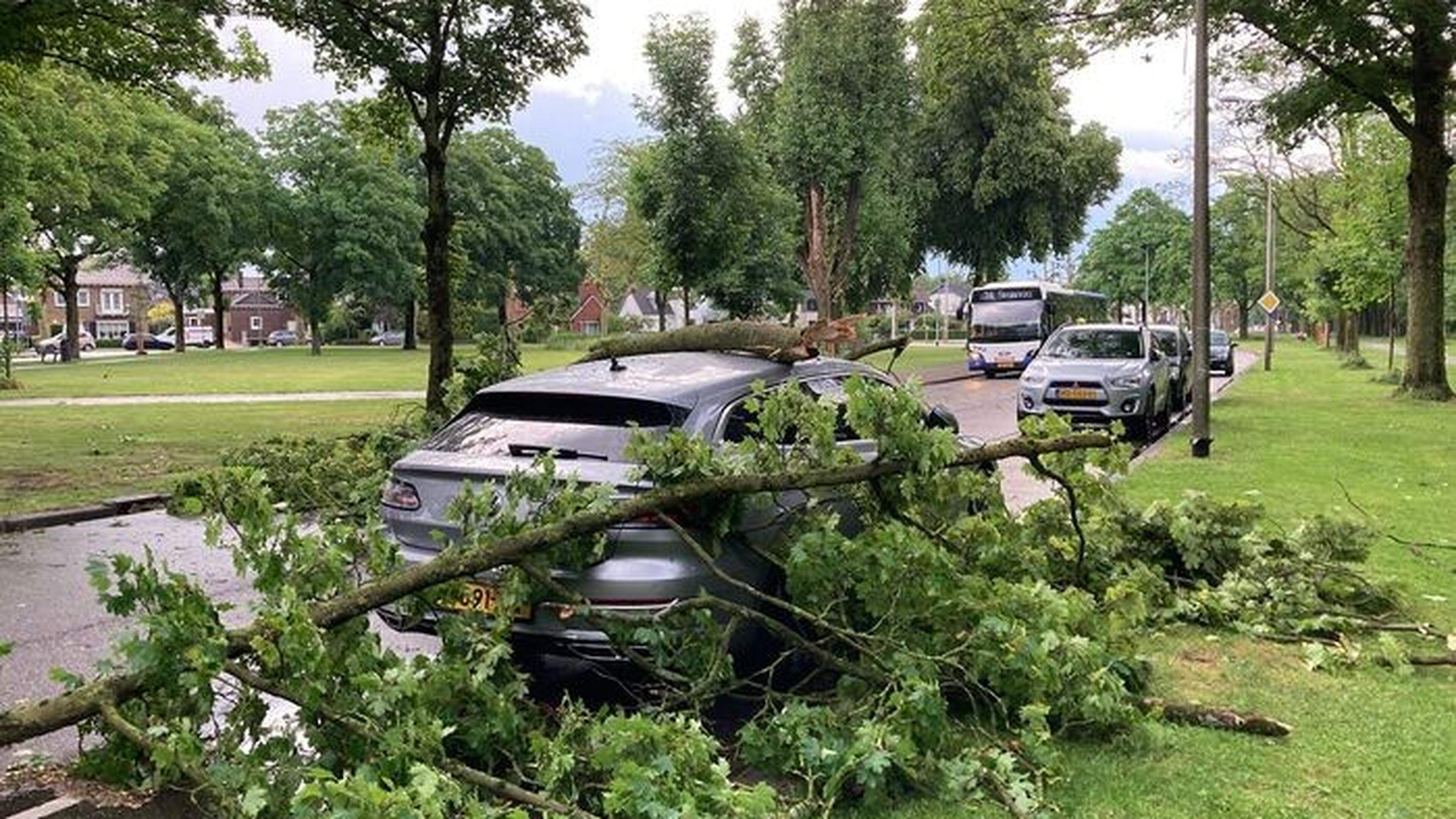 Forse onweersbuien trekken over Limburg: hagelschade aan auto’s en wateroverlast