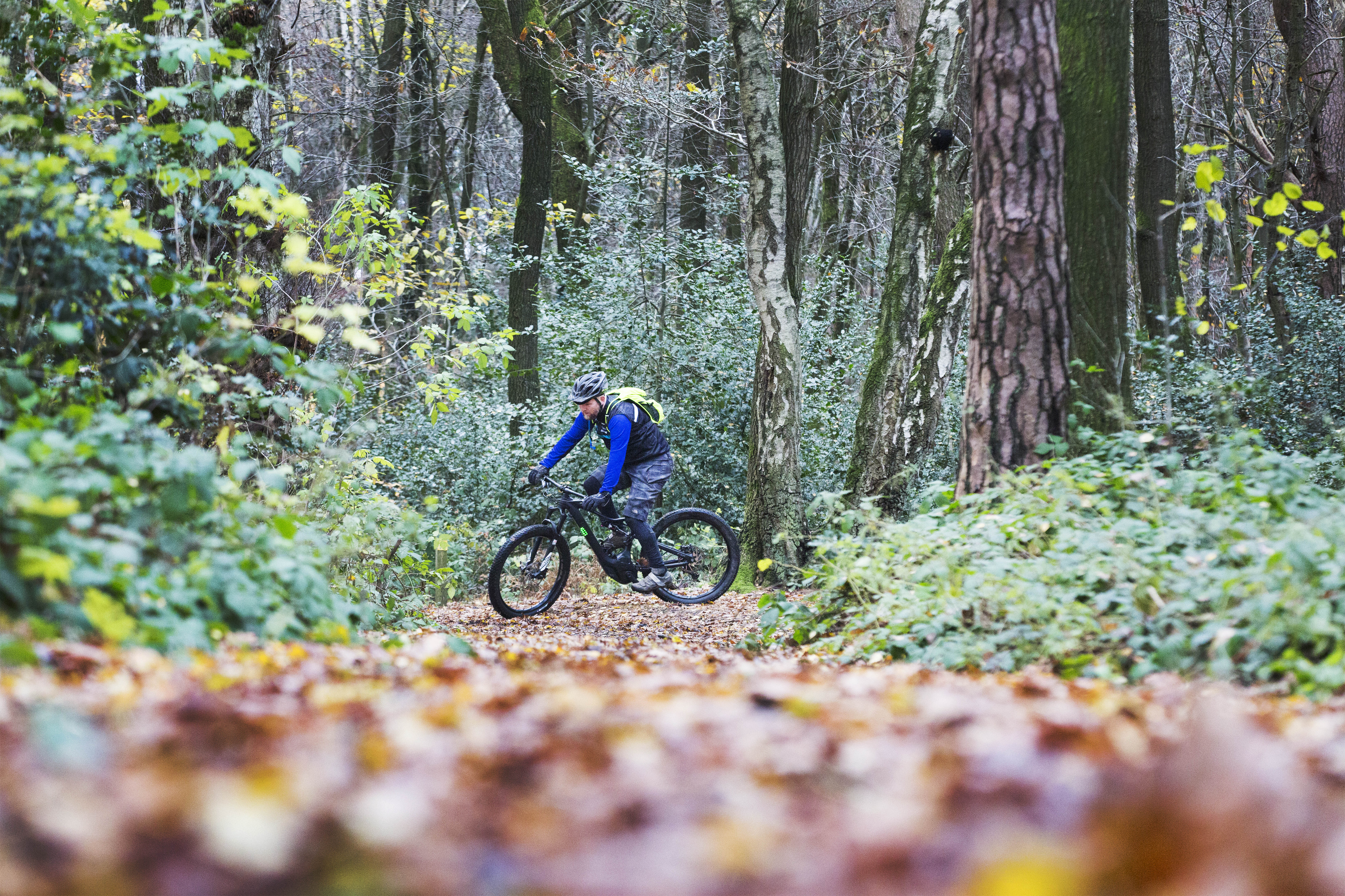 Staatsbosbeheer peilt wensen van bezoekers aan Vijlenerbos
