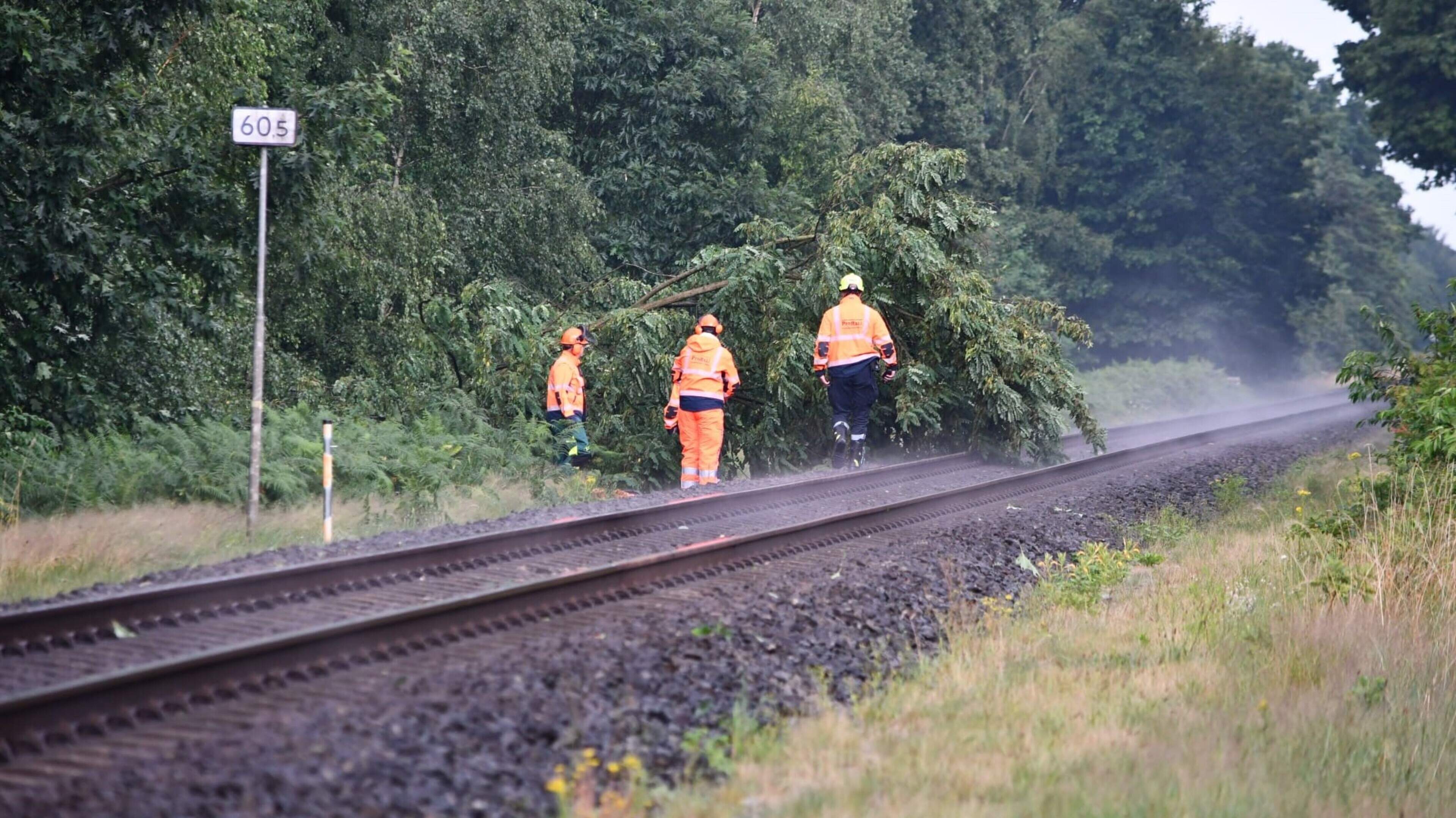 Boom op spoor: geen treinen tussen Roermond en Venlo
