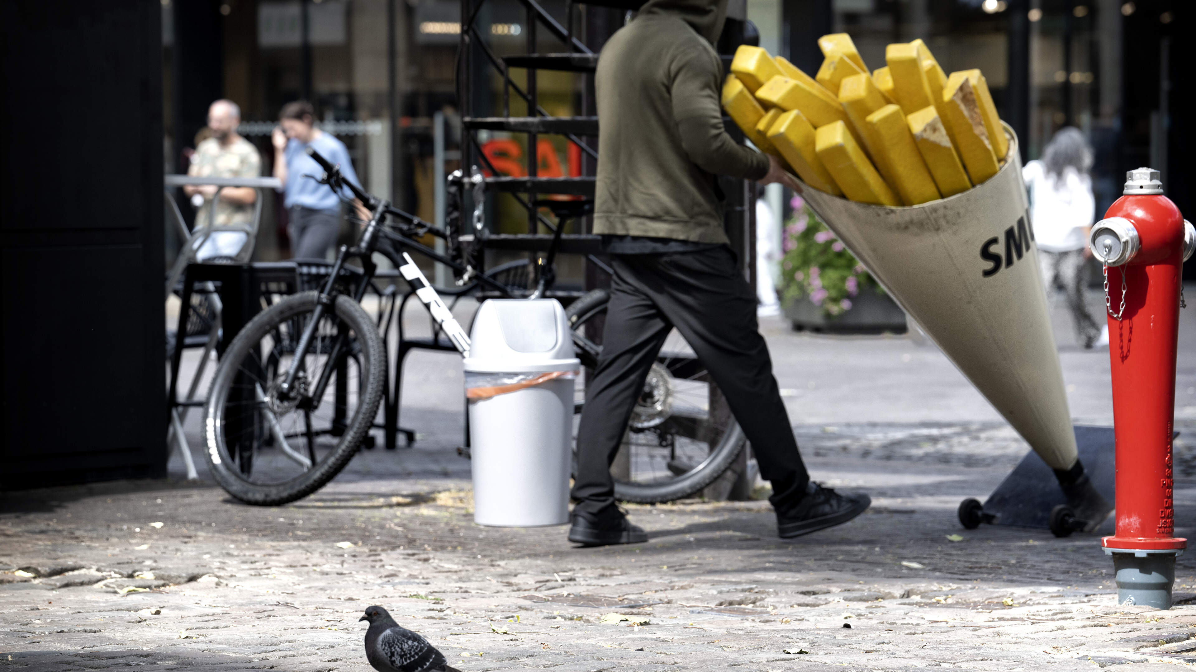 Deze Heerlense stadsduiven zitten al vijf jaar aan de anticonceptie, maar is dat wel goed voor ze? ‘
