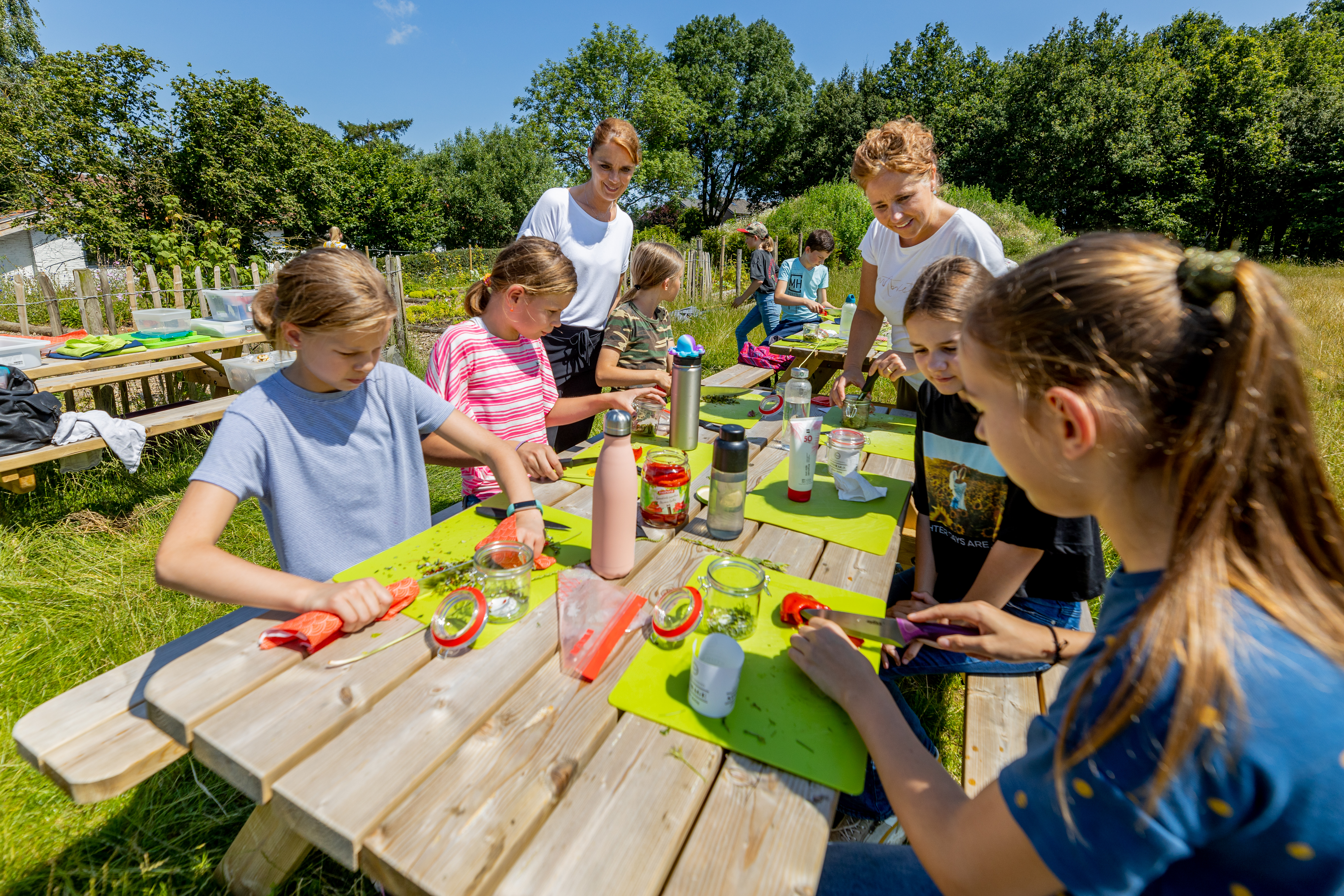 Jeugd ontdekt wat eetbaar is in de natuur; Puk en co plukken potje vol voor pesto in de pasta