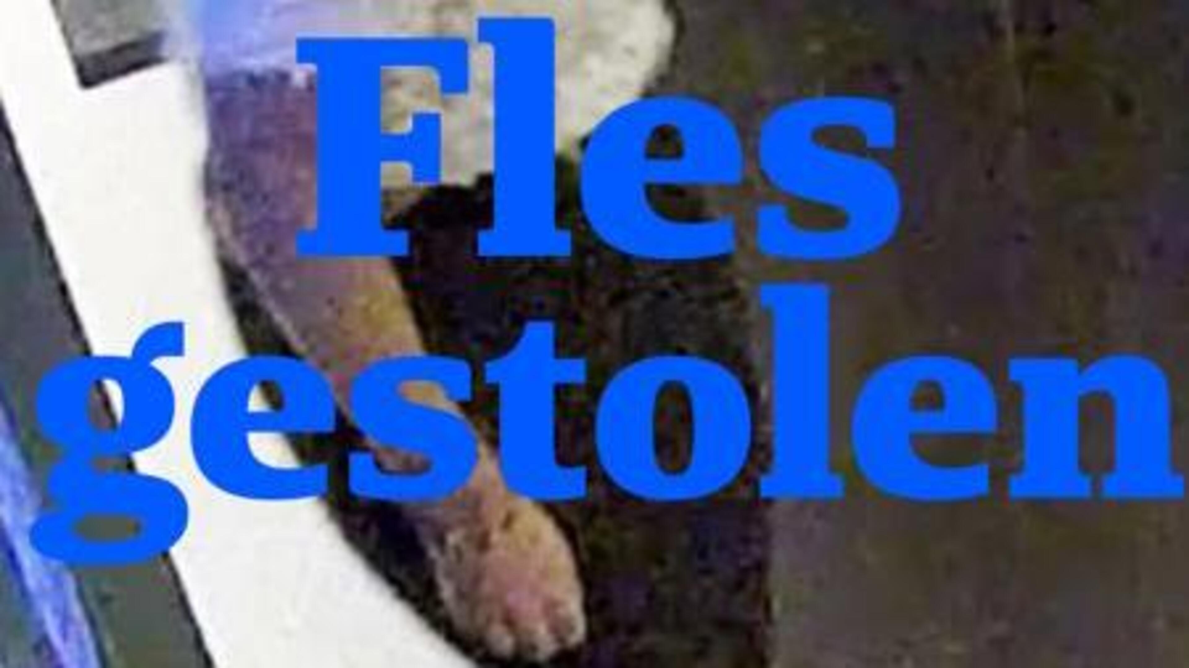 Vrouw steelt flessen wijn en maakt ravage in toilet bij restaurant in Maastricht