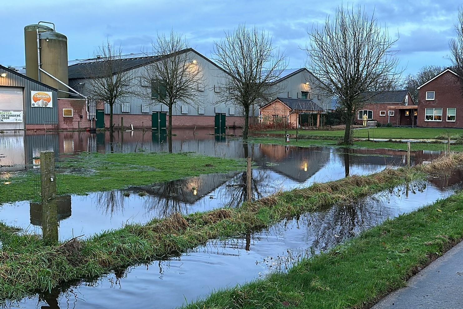 Kippenstal bij pluimveebedrijf Ysselsteyn onder water gelopen