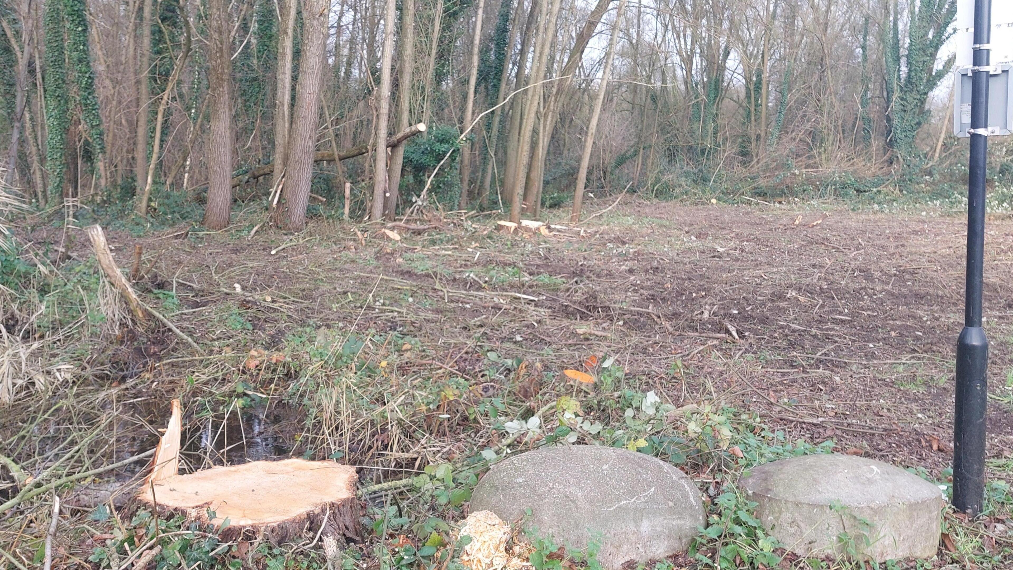 Kaalslag rond Geleenbeek bij Schinnen moet zeldzame minislak handje helpen