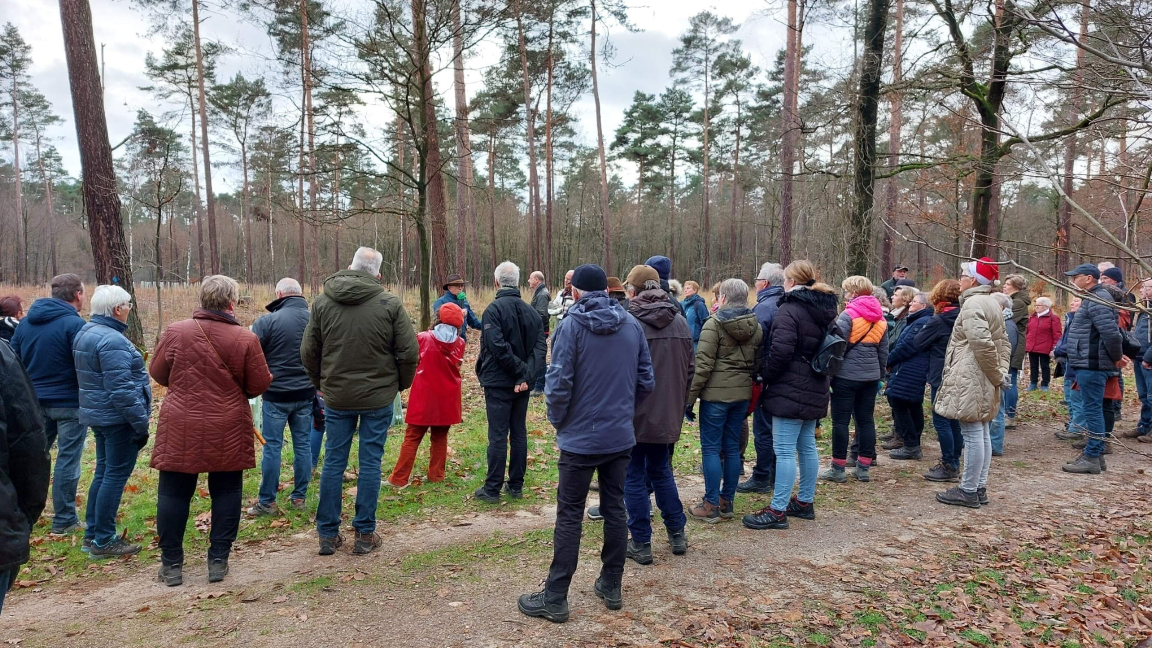 Kerstwandeling op tweede kerstdag in de bossen van Hillenraad, Boukoul
