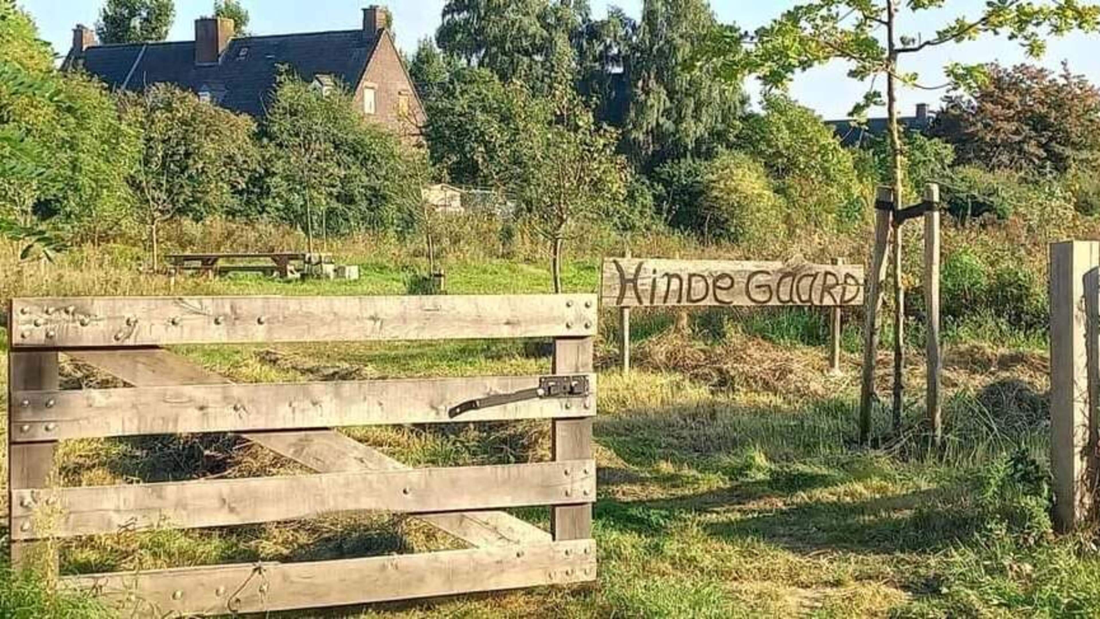 Gaat het voedselbos in Heksenberg verdwijnen? En zo ja, aan wie ligt dat dan?