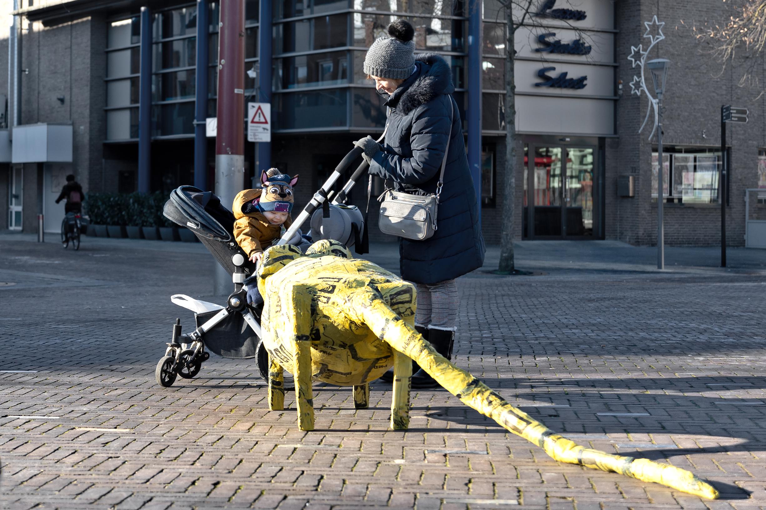 Venray Inwoners Reuzenrat in centrum Venray moet aandacht vestigen op afvaldumpingen ...