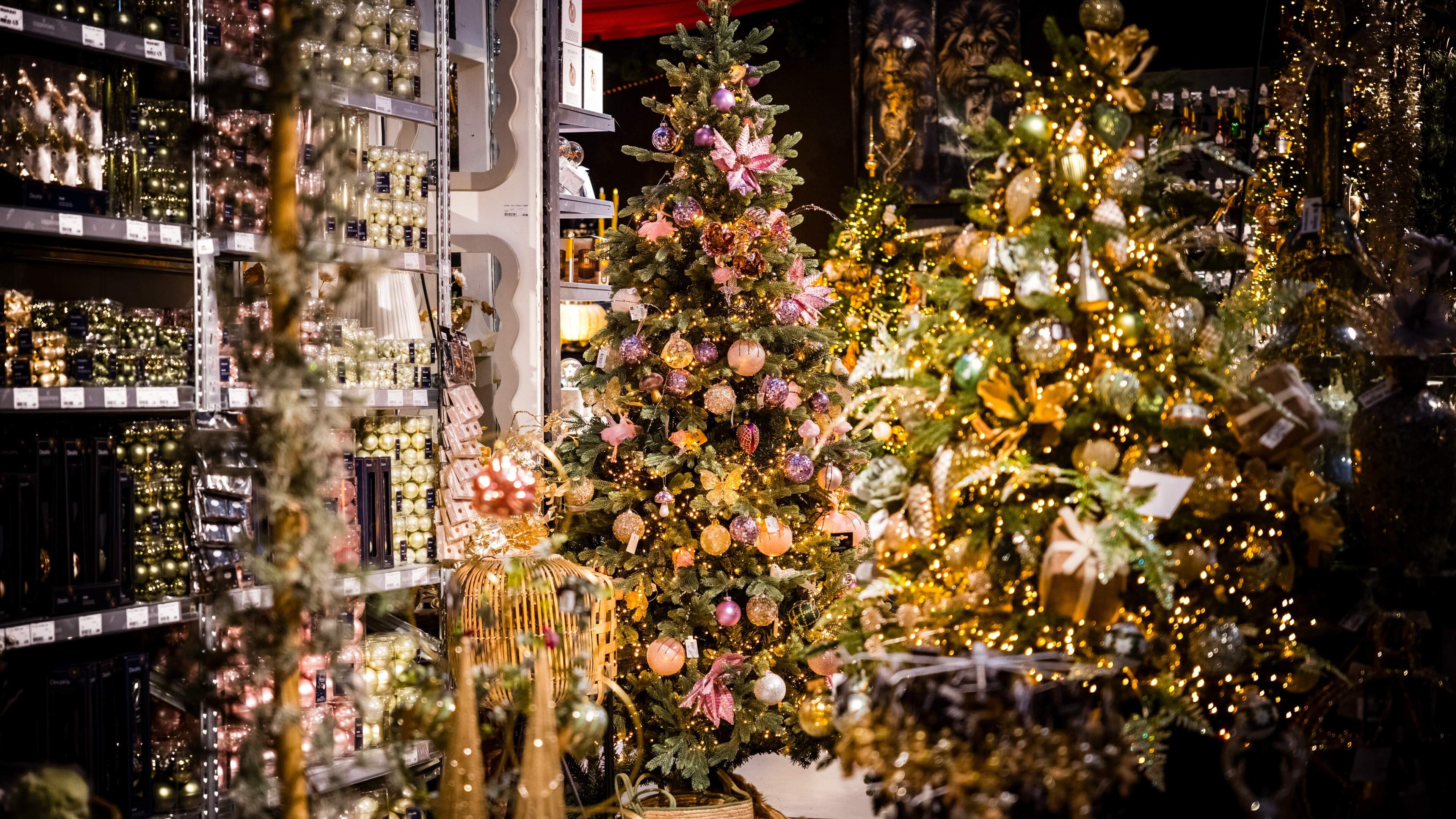 Waarom mag een tuinmeubelzaak in Sittard geen kerstspullen verkopen, maar tuincentrum Intratuin in G