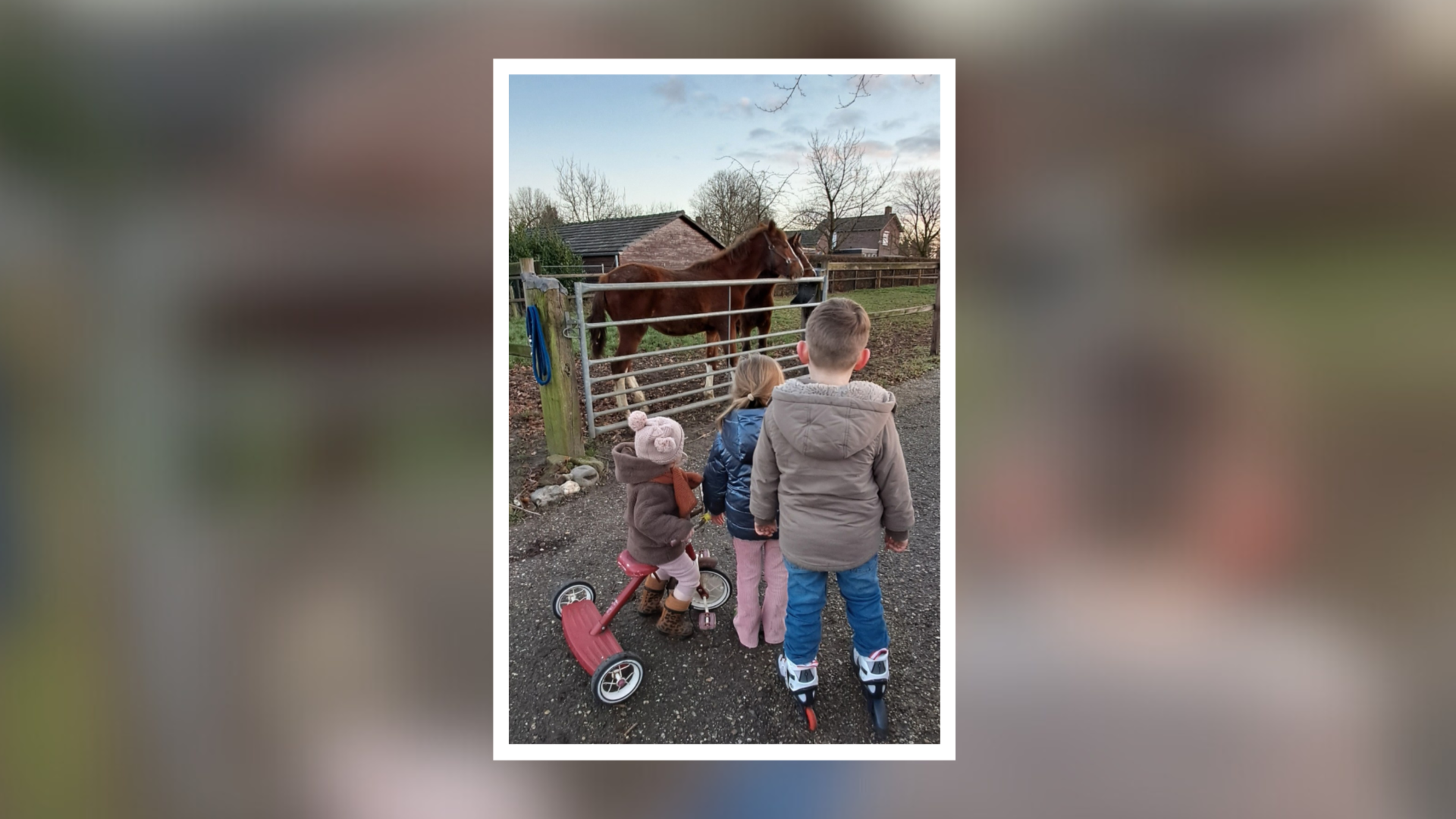 Weekwinnaar VIA-fotopagina’s ‘Week in Beeld’