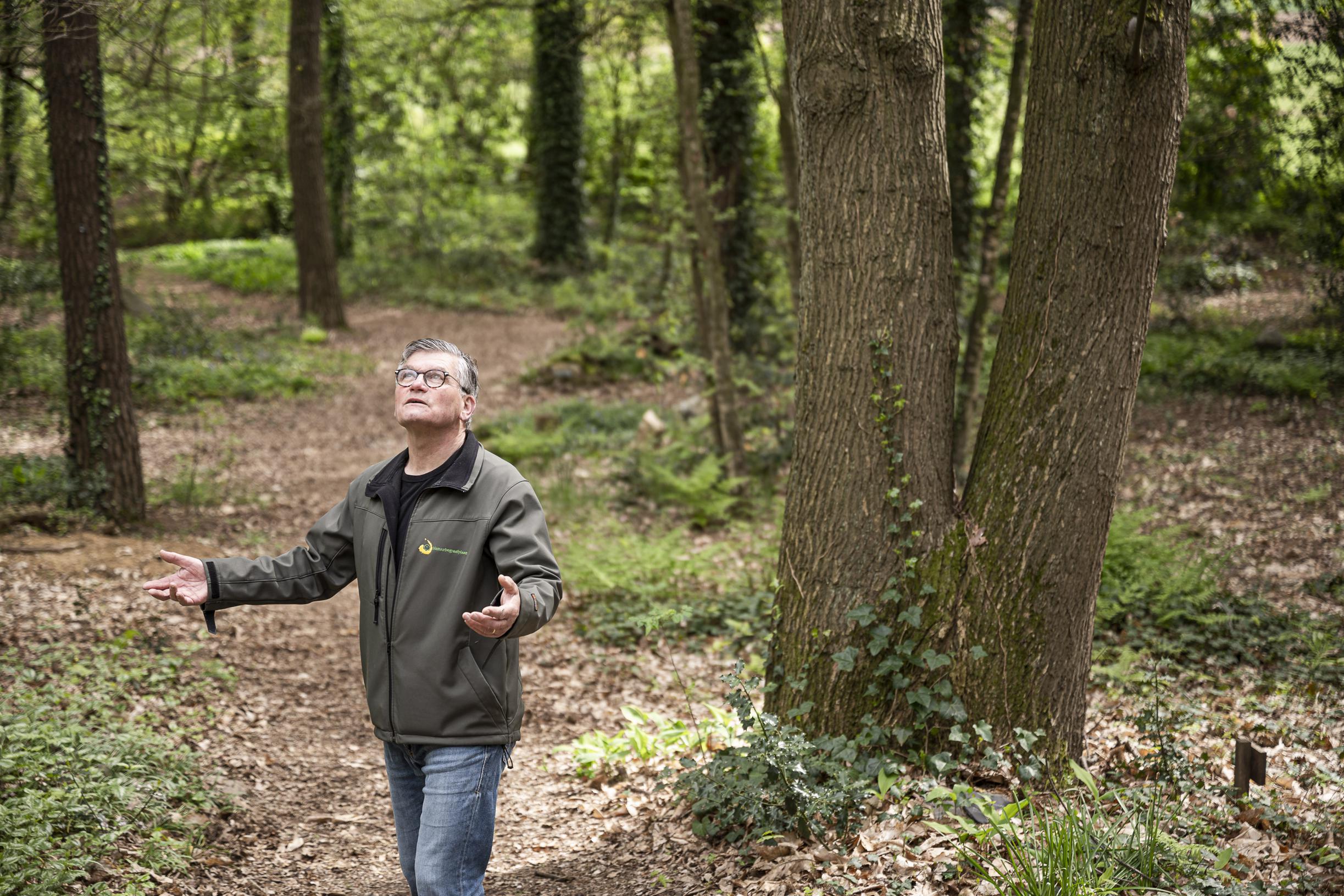 Leven en dood vloeien al twintig jaar samen op natuurbegraafplaats Bergerbos in Sint Odiliënberg
