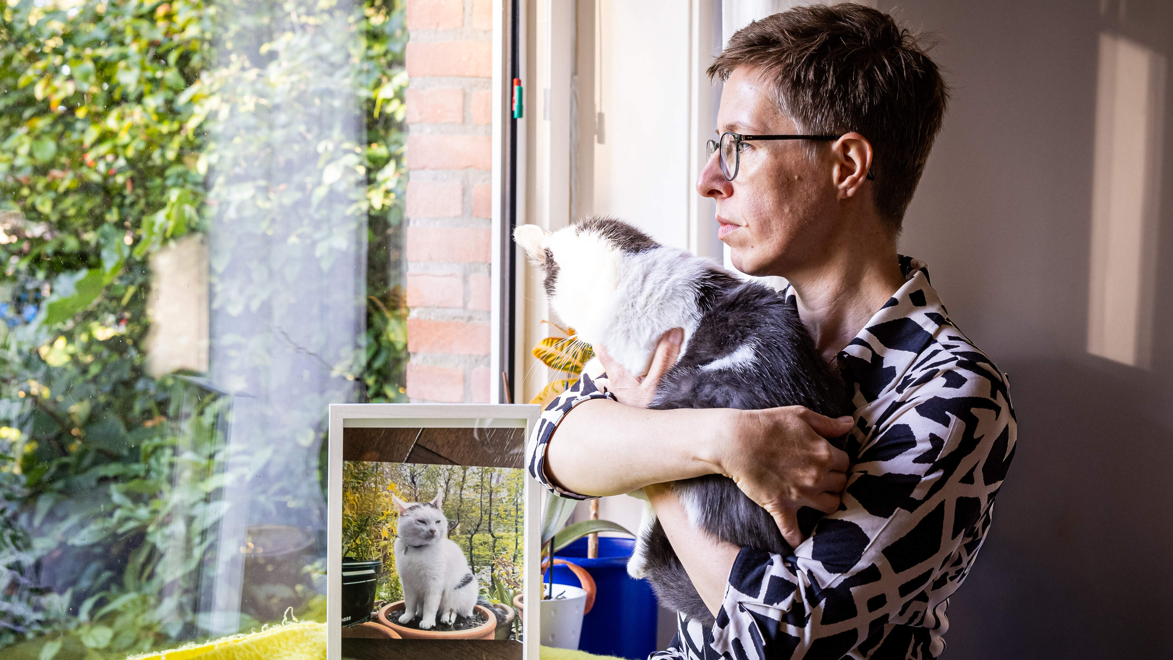 Kat Flocke uit Hoensbroek herenigd met vriendje Kazi, na bericht uit Aken