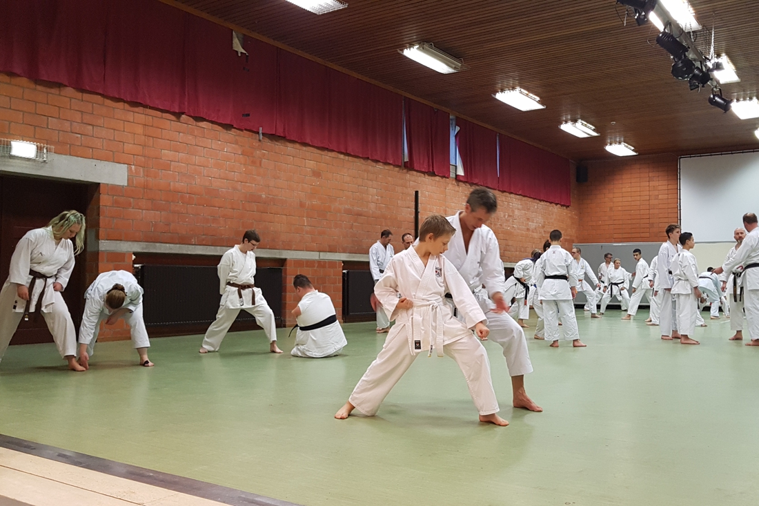 ‘Propere’ vorm van karate als levensstijl bij Do Pora