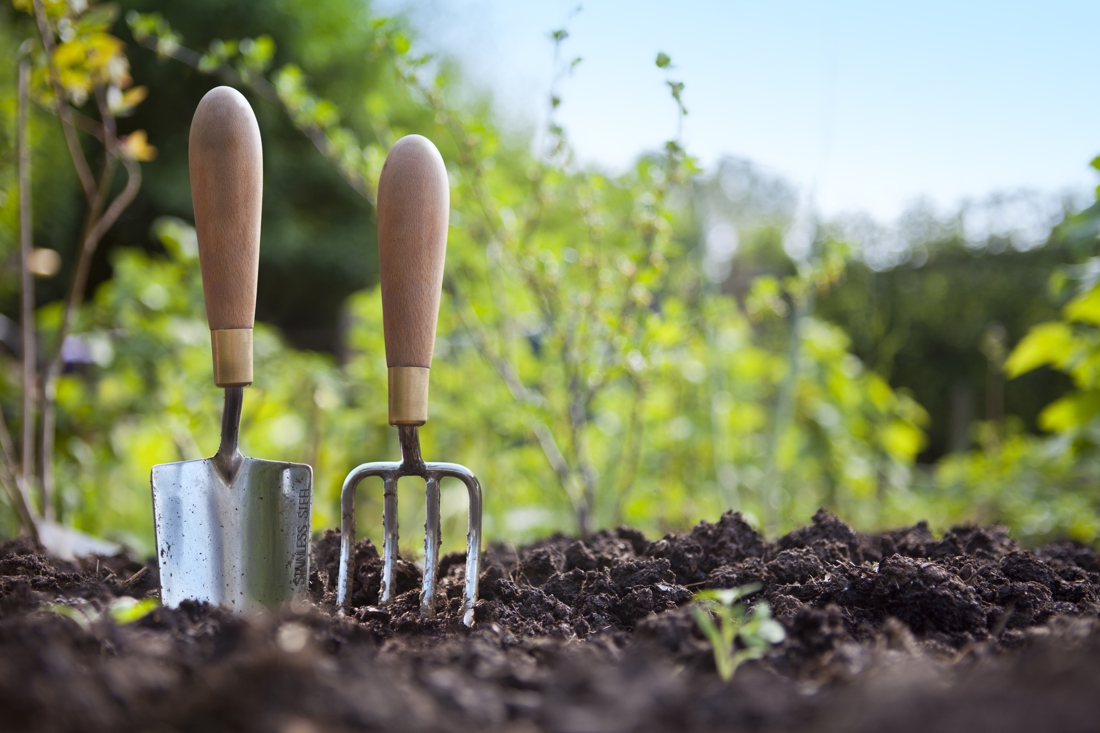 Gemeente verhuurt moestuinen in Lemiers