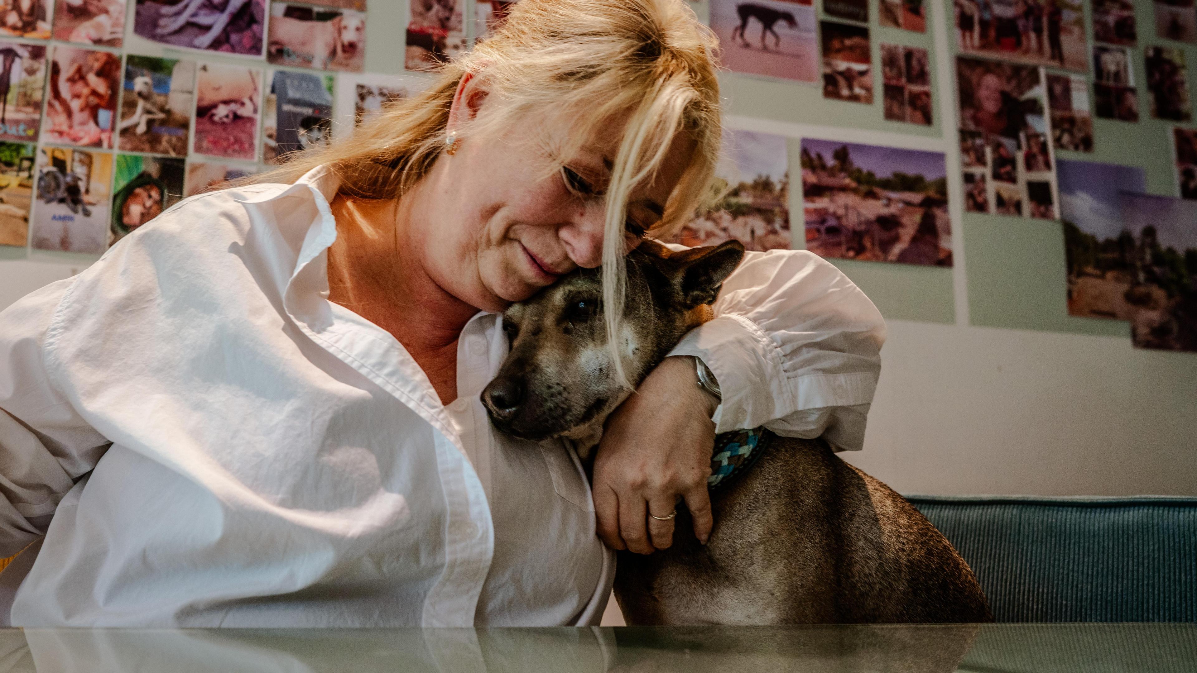 Patricia uit Heerlen redt honderden straathonden in haar ziekenhuis in India: ‘Veel mensen verklaren