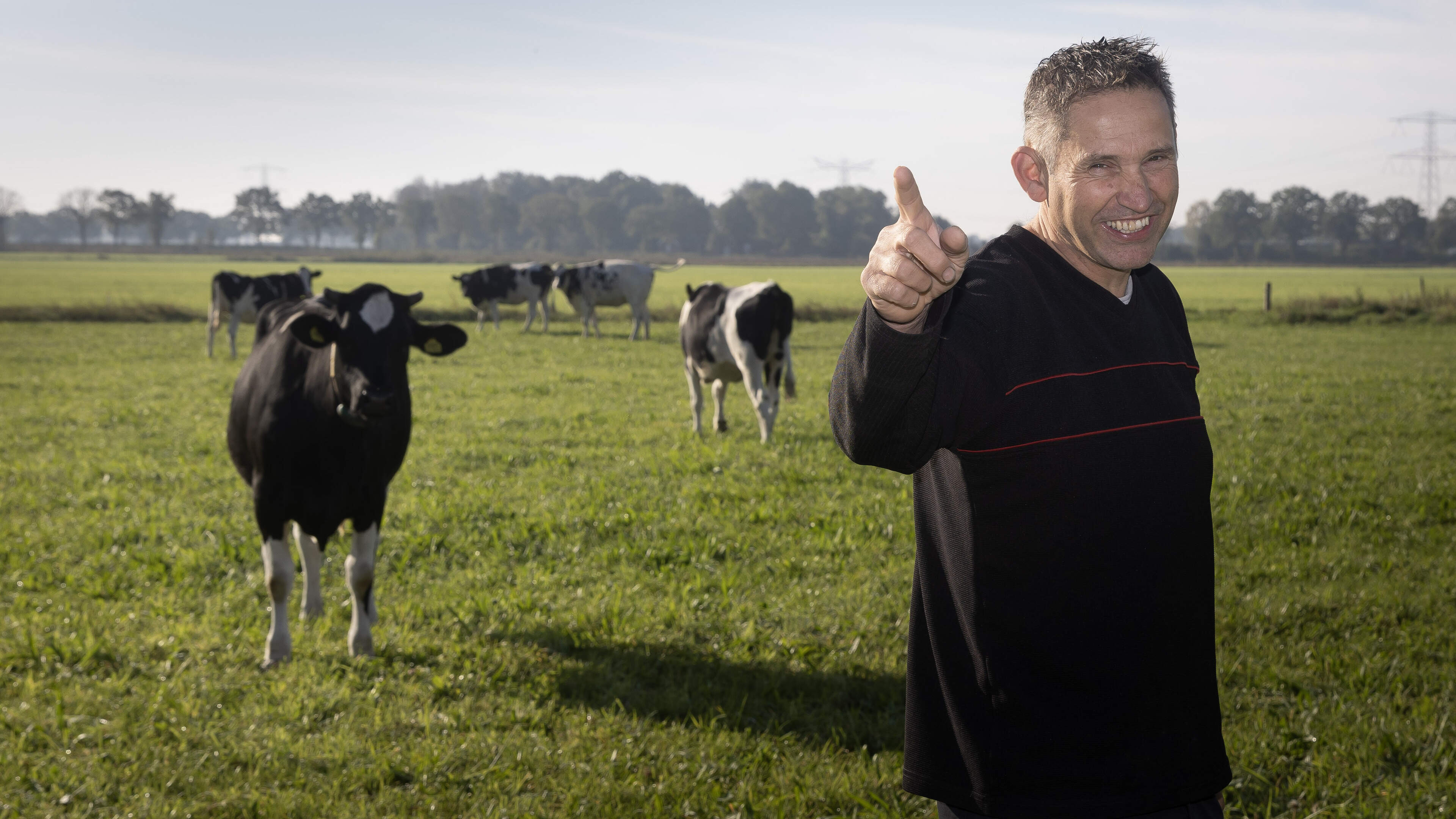 Melkveehouder Henk Aarts dankt eretitel ‘gruttokoning van Ospel’ aan beschermen boerenlandvogels