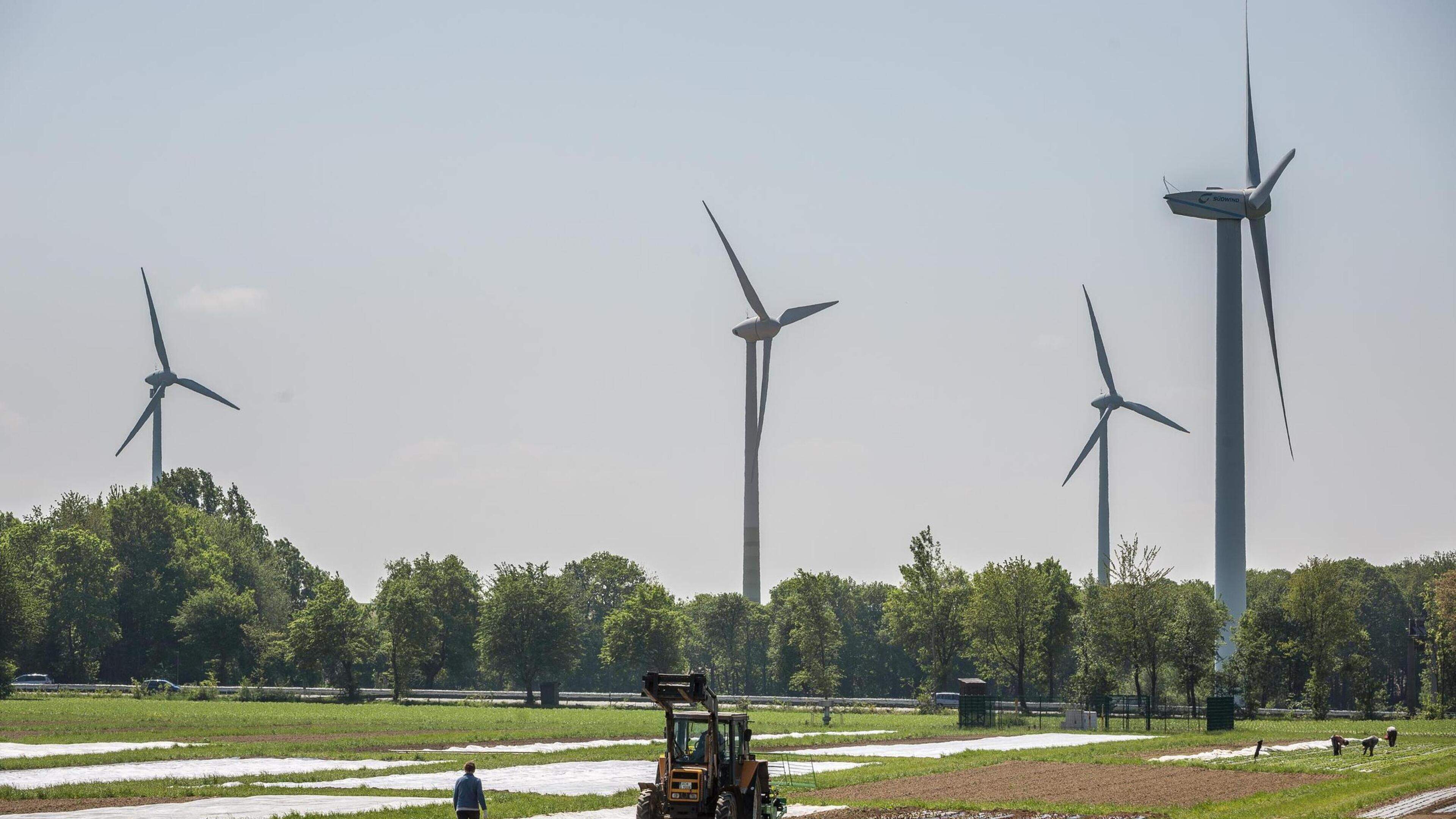 Limburg dreigt met juridische stappen tegen windmolens in grensregio: ‘Bedreiging voor Einstein Tele